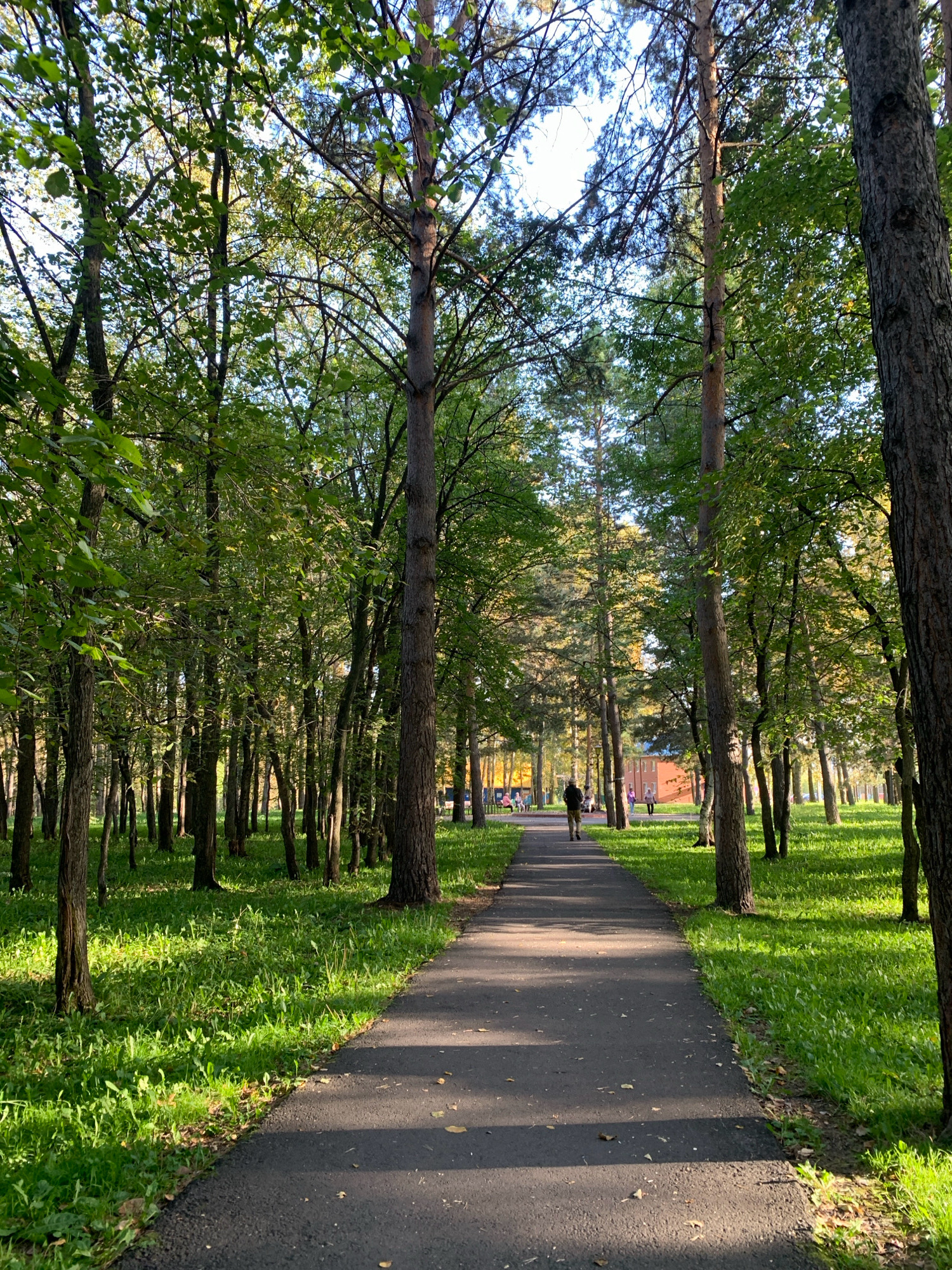 This media file depicts a sunlit park scene in Prokopyevsk, Russia. The primary subject is a paved pathway winding through a dense forest of tall trees, predominantly pines and deciduous trees with vibrant green foliage. The pathway is bordered by lush, green grass that is illuminated by dappled sunlight, casting shadows from the trees.
In the distance, along the pathway, a few individuals are visible. One person, dressed in dark clothing, walks away from the camera. Further down, a small group of people are gathered, suggesting a leisurely outing or a moment of respite in the park. A brick building with a blue roof is also visible in the background, beyond the trees and pathway, providing a subtle hint of the park's proximity to urban infrastructure.
The time of day appears to be late afternoon, as indicated by the warm, angled sunlight and the long shadows cast across the path. The weather seems pleasant and mild, conducive to outdoor activities. The overall emotion evoked by the scene is one of tranquility and natural beauty, with a sense of peace and quietude characteristic of a park setting. No visible text is present in the media file.