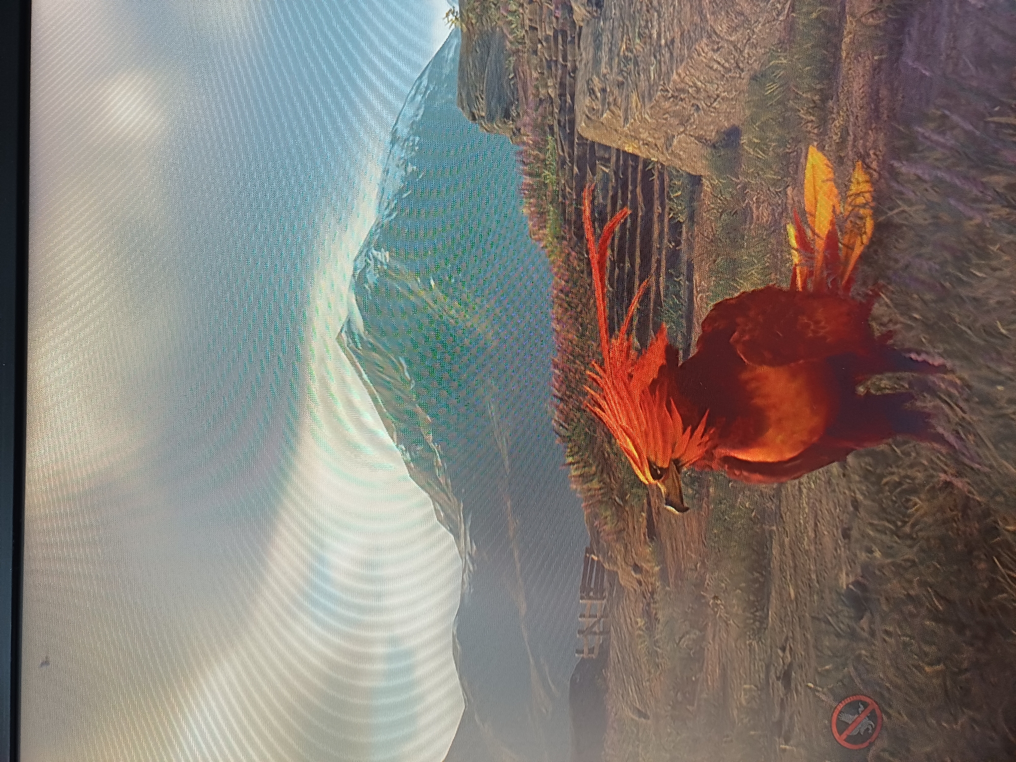 An image displays a fictional scene featuring a phoenix with fiery red and orange plumage standing in a grassy, rocky landscape. In the background, a snow-capped mountain rises against a hazy sky. To the right, a stone staircase with purple flowering plants ascends. To the left, a wooden fence is visible. A red circular icon with a diagonal line through a bird symbol is present in the lower left corner. The scene appears to be from a video game due to the stylized graphics and on-screen icons.