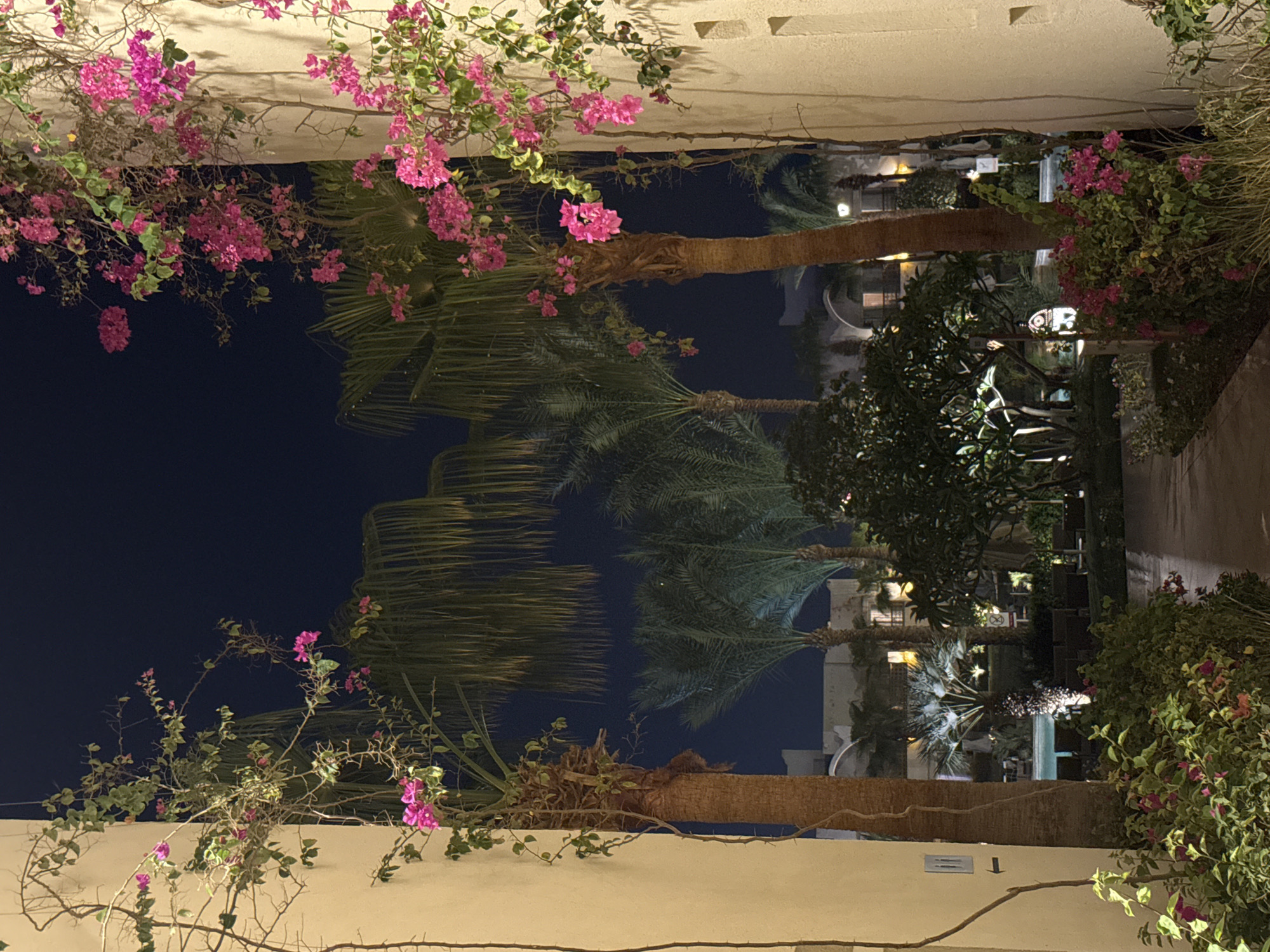 The image depicts an outdoor pathway at night, likely in a resort or hotel complex, in Sharm El Sheikh, Egypt. The scene is framed by two light-colored, textured walls on the left and right, adorned with climbing vines bearing bright pink bougainvillea flowers. Between these walls, a pathway leads into the distance, flanked by several palm trees, some of which are illuminated by spotlights. In the background, low-rise buildings with archways are visible, also lit by artificial light. The sky above is a deep, clear blue, indicating a nighttime setting. The ground is paved, and there is dense foliage and flowering plants in the foreground. There are no people or animals visible in the image. The overall impression is of a well-maintained, tropical-themed outdoor space at night.