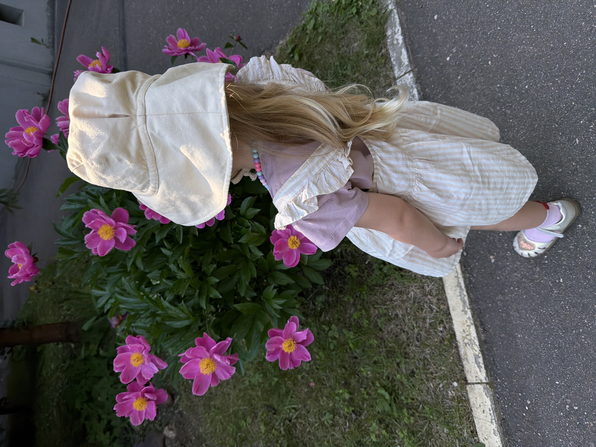 A young child, viewed from behind, stands facing a bush of vibrant pink peonies. The child wears a light-colored sun hat, a pink t-shirt, and a striped cream-colored dress with ruffled straps. A colorful beaded necklace is visible around the child's neck. The child is wearing silver shoes with pink accents and white socks. The background consists of green grass, a tree trunk, and a gray paved surface, possibly a sidewalk or street. The scene suggests an outdoor setting in a city environment. Based on the presence of peonies, a common flowering plant, and the general urban landscape, this image could have been taken in Moscow, Russia during the late spring or early summer when peonies are in bloom.