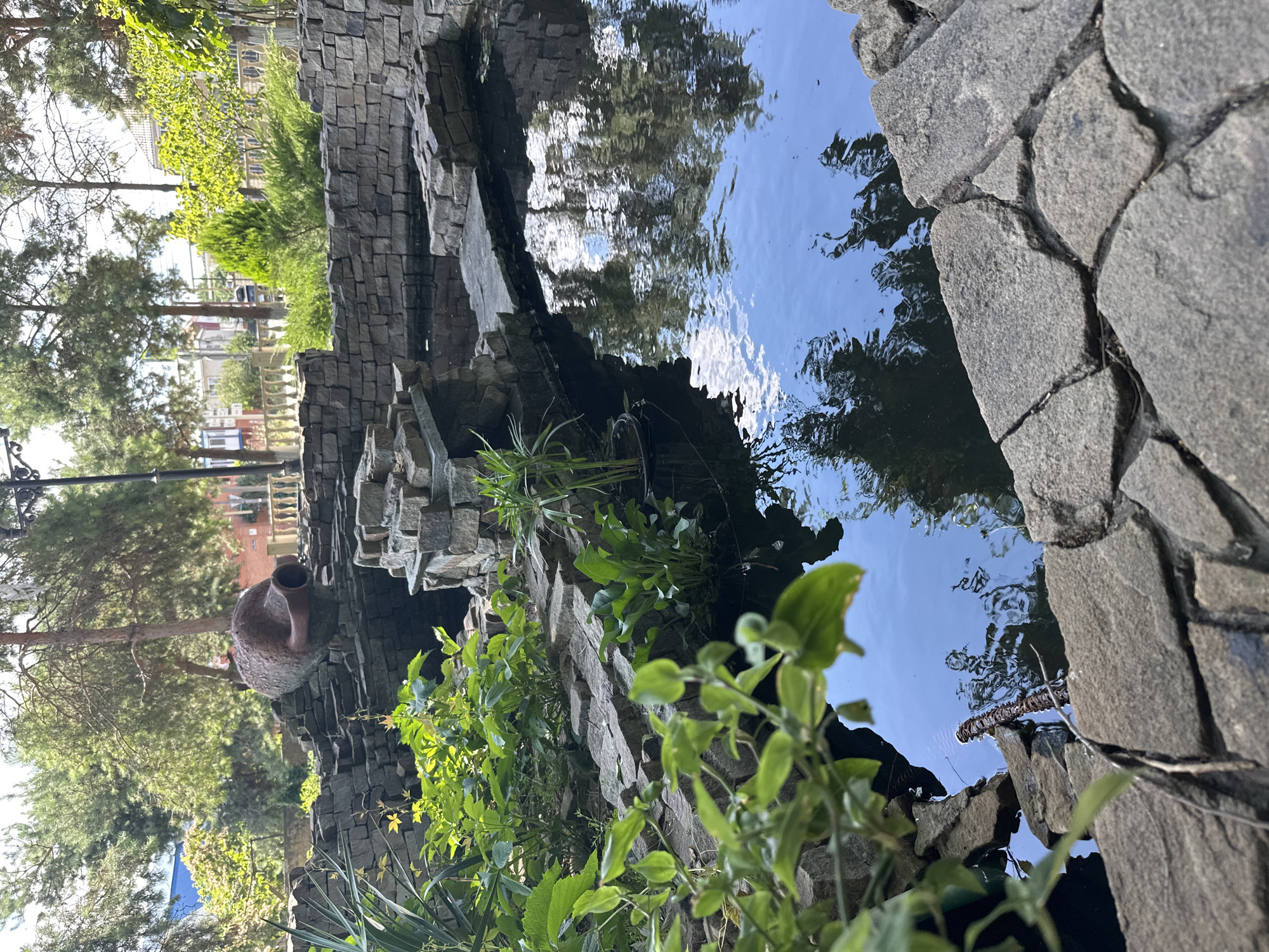 The image shows a decorative pond in Taman, Russia, designed with rough-hewn stone walls and a large, ancient-looking clay amphora resting on the stonework. Lush green foliage, including leafy plants and reeds, grows around the pond and partially obscures the stonework. The water in the pond is dark and reflects the surrounding trees and sky. A narrow stone bridge or pathway crosses the pond. The background shows more trees, a fence, and buildings, indicating an outdoor setting within a populated area.