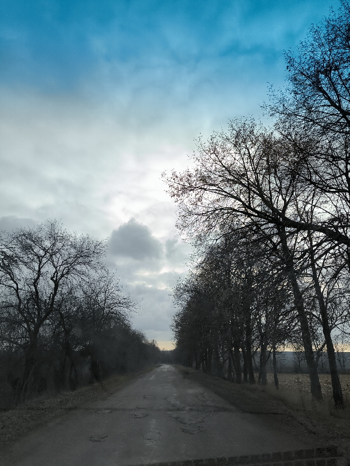 This image depicts a rural scene along a road in Khrinivka, Ukraine. The central feature is a straight, unpaved or heavily degraded asphalt road with numerous puddles and potholes, extending into the distant horizon. The road surface appears wet or damp.
On both sides of the road, rows of leafless deciduous trees form an avenue. The trees on the right are taller and more uniformly spaced, casting distinct dark silhouettes against the sky. The trees on the left appear more varied in size and shape, with some exhibiting gnarled branches. Beyond the trees on the right, a flat expanse of agricultural land, possibly a field, is visible.
The sky occupies the upper two-thirds of the frame, characterized by a gradient from a light, clear blue at the top transitioning to a predominantly overcast, whitish-grey cloud cover towards the horizon. A bright, diffused light source, likely the sun, is obscured by these clouds, creating a luminous area in the upper-middle portion of the sky. No individuals or active subjects are present within the frame. The perspective suggests the image was captured from a slightly elevated position, possibly from a vehicle, with a dark, textured element visible along the very bottom edge of the frame. The overall environment suggests a late autumn, winter, or early spring setting due to the leafless trees and subdued color palette.