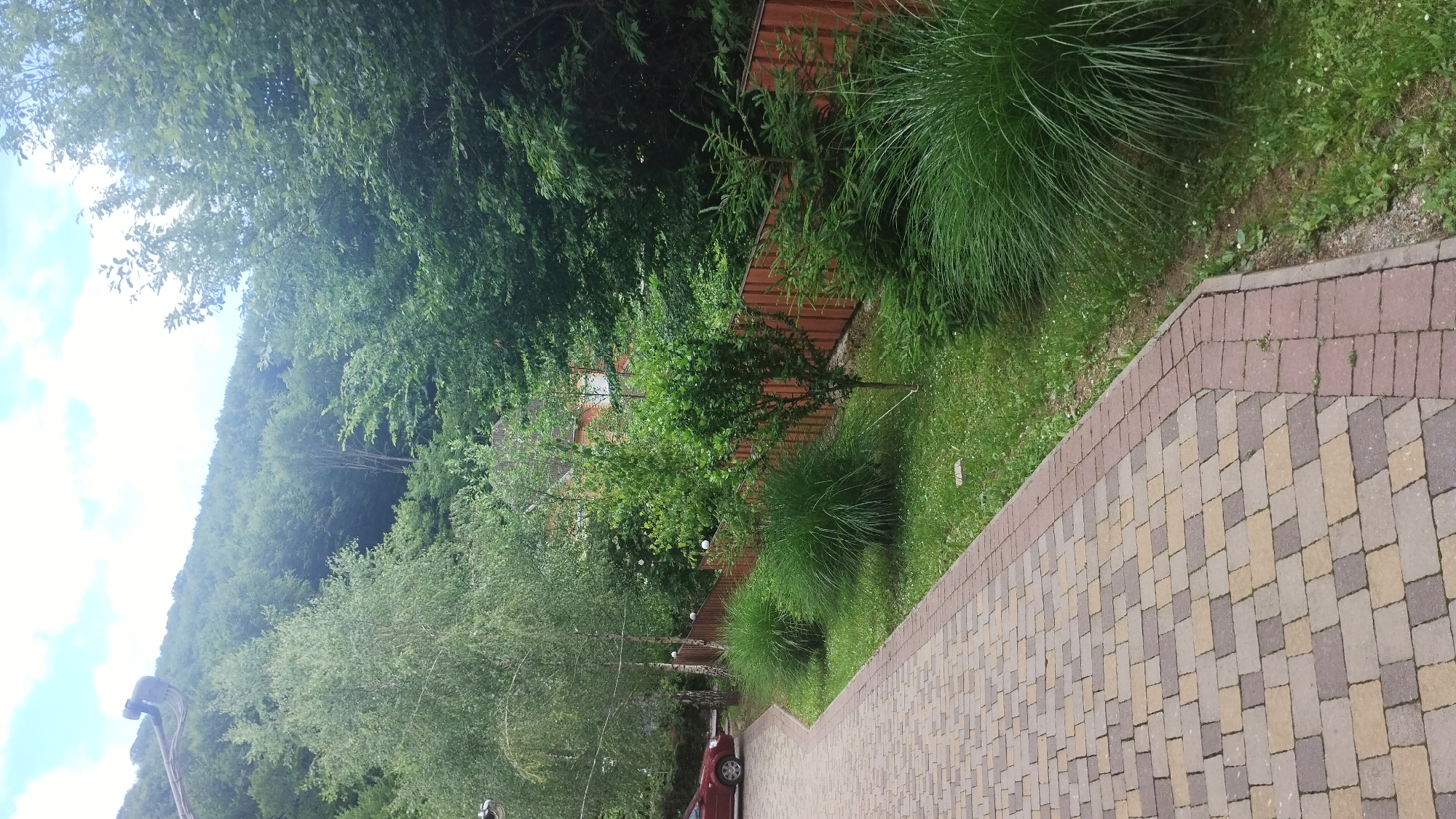 The image depicts a sunlit outdoor scene with a paved walkway in the foreground. The walkway is constructed from rectangular pavers in varying shades of brown and tan, arranged in a patterned fashion. Beyond the walkway, lush green grass and various types of vegetation are visible, including tall ornamental grasses and trees with dense foliage. A wooden fence runs along the edge of the property, separating it from the natural landscape. In the background, a hillside covered in trees rises steeply, suggesting a mountainous or hilly region.
A red car is parked on the grass near the walkway. There is a small, leafy tree in the middle ground, and behind it, a portion of a building with a reddish-brown roof is visible. The sky is bright and partly cloudy, indicating a pleasant day. The overall setting appears to be a residential area adjacent to a natural, wooded environment. The lighting suggests it is daytime, likely late morning or afternoon. No people are visible in the image. The scene conveys a sense of tranquility and natural beauty. No text is visible. The location context is Синяк, Ukraine.