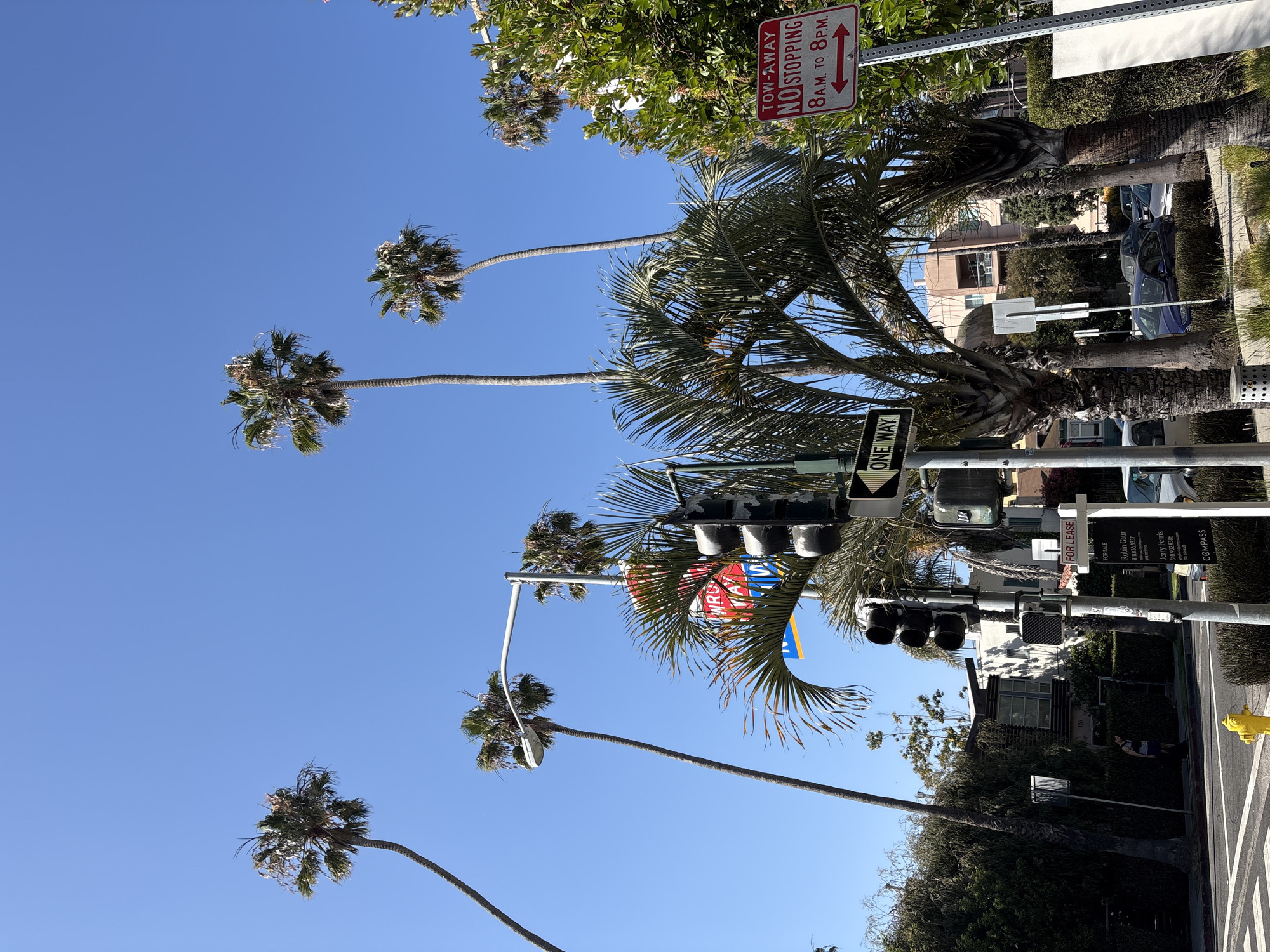 The image depicts a street scene in Santa Monica, United States, notable for its palm trees against a clear blue sky. Street signage includes a "ONE WAY" sign and a "TOW-AWAY NO STOPPING 8AM TO 8PM" sign. A traffic light fixture is also visible. Additionally, a real estate sign indicates properties "FOR LEASE" and "FOR SALE," with contact information for Robin Gaur and Jerry Ferris of COMPASS. At least one vehicle is parked along the street, and foliage is present. The house number on a building can be seen, which reads "126". There is also a yellow fire hydrant on the street. A person is standing close to a building, wearing a white tank top.