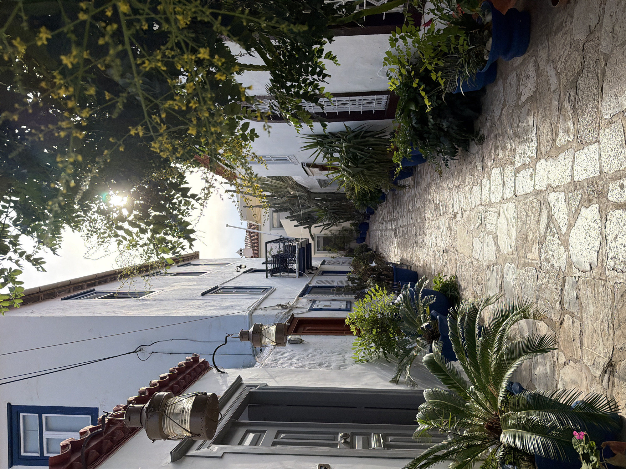 A narrow stone-paved street in Hydra, Greece, is framed by whitewashed buildings on either side. The buildings are adorned with dark blue window frames and planters filled with various green plants. The street is bathed in bright sunlight, creating stark shadows on the stone pavement. The sun is visible through the leaves of a tree overhead. Lanterns are attached to the walls of the buildings.