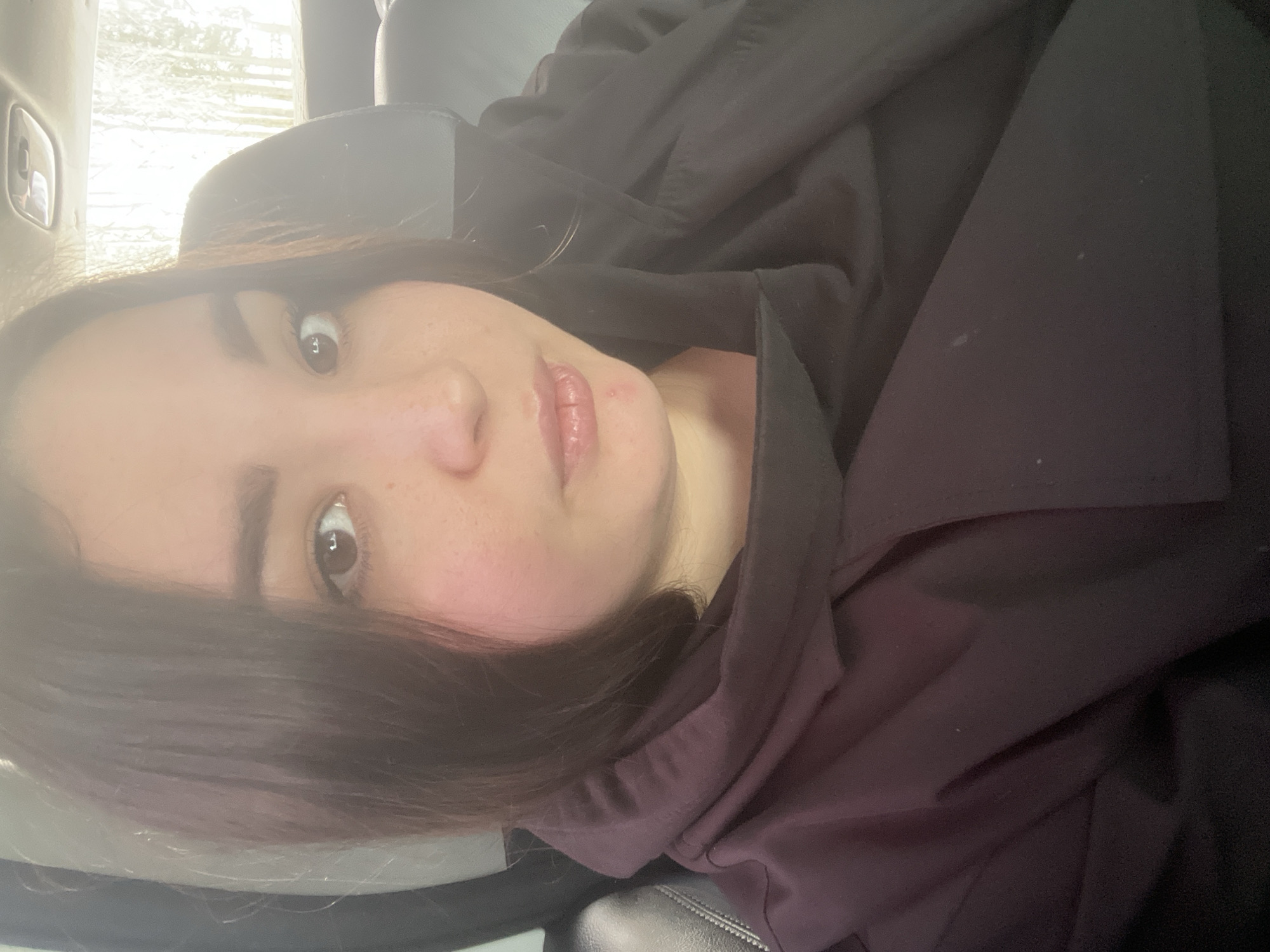 A young woman is depicted in a close-up selfie, oriented upright from the provided original image. She has dark brown hair that frames her face, dark eyes, and fair skin with a natural flush on her cheeks. Her lips are slightly parted, revealing a small blemish on her upper lip and another near her chin. She looks directly at the camera with a neutral expression. She is wearing a dark-colored, possibly black or deep purple, hooded sweatshirt or jacket, with the hood visible around her neck and shoulders.
The setting appears to be the interior of a vehicle, likely a car. A dark headrest is visible behind her. To her left, an overexposed window provides a bright, diffused light source, causing a slight lens flare over her hair and face. Through the window, an outdoor scene is visible, appearing wintry with hints of trees or a snowy landscape, suggesting bright, possibly overcast daylight. Part of the car's interior, including what might be a door panel or frame, is also visible. The image captures a casual moment during the daytime in what appears to be a cold climate, consistent with the location context of Dvigatel', Russia. There is no visible text in the image.