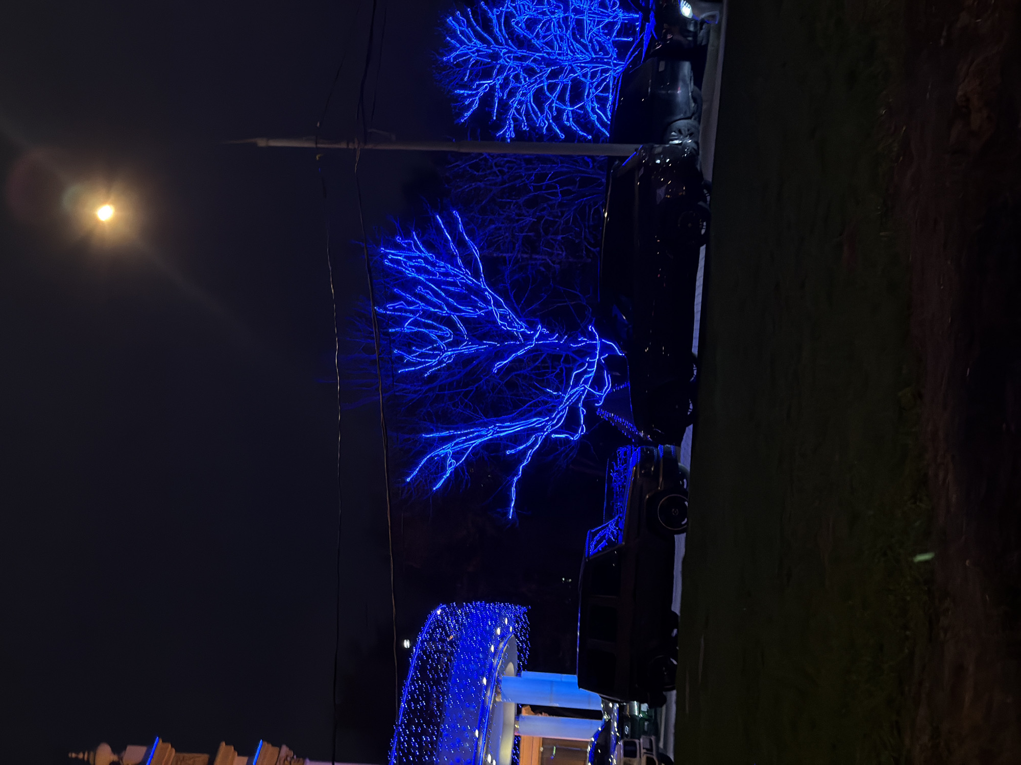 The image shows a night scene in Moscow, Russia. Several black cars are parked on the side of a road adjacent to a grassy area. Trees are decorated with bright blue lights, resembling lightning patterns. A street lamp provides illumination on the left. In the distance, part of a building decorated with blue lights is visible. The picture is taken at an oblique angle, with the horizon running diagonally across the frame.