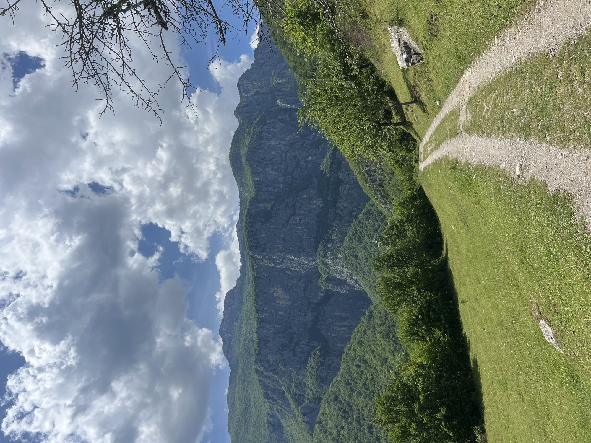 The image shows a landscape in Mrtvo Duboko, Montenegro. A tall, rocky mountain dominates the scene, covered in green vegetation at its base. The sky is partly cloudy with white and grey clouds. In the foreground, there is a gravel path running alongside a grassy area. A bare tree branch is visible in the upper left corner.