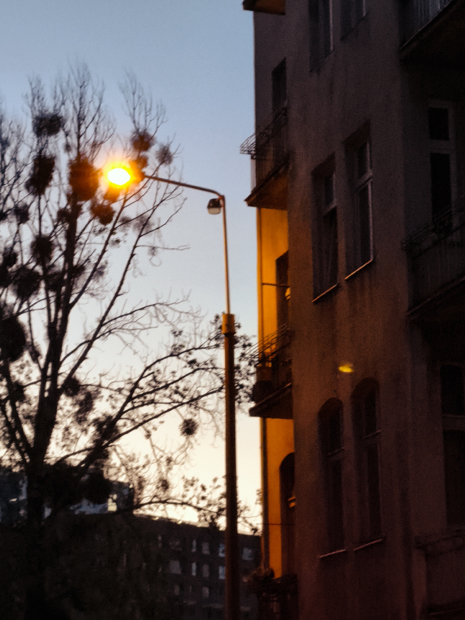 A street lamp with a bright yellow light illuminates a bare tree with dark, clustered nests against a pale blue sky at dusk. To the right, a dark building with balconies and windows is partially lit by the warm glow of the lamp. The scene is likely in Gdańsk, Poland, given the architectural style and typical urban environment.