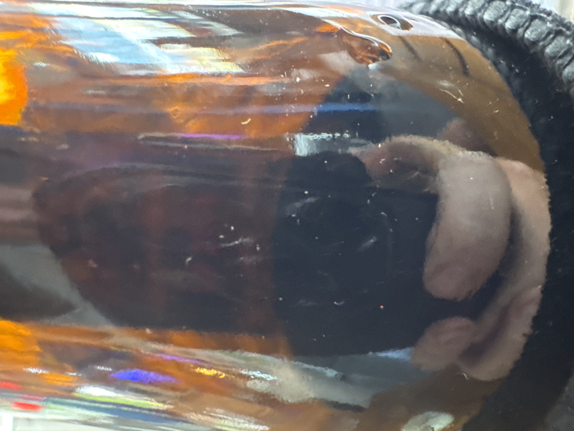 This image shows a close-up of a brown glass bottle, possibly a beverage bottle, with a reflective surface. Light sources, including what appear to be red, orange, yellow, blue, and white lights, are reflecting off the glass, creating a colorful, somewhat distorted pattern. In the lower portion of the image, a reflection of what appears to be a person's hands is visible, cupping the bottom of the bottle. The background is dark and indistinct, with some visible textures that suggest the bottle might be placed on a rough surface or fabric. There is no visible indication of a specific location in North Kuta, Indonesia, nor any details that could be interpreted as a forensic scene.