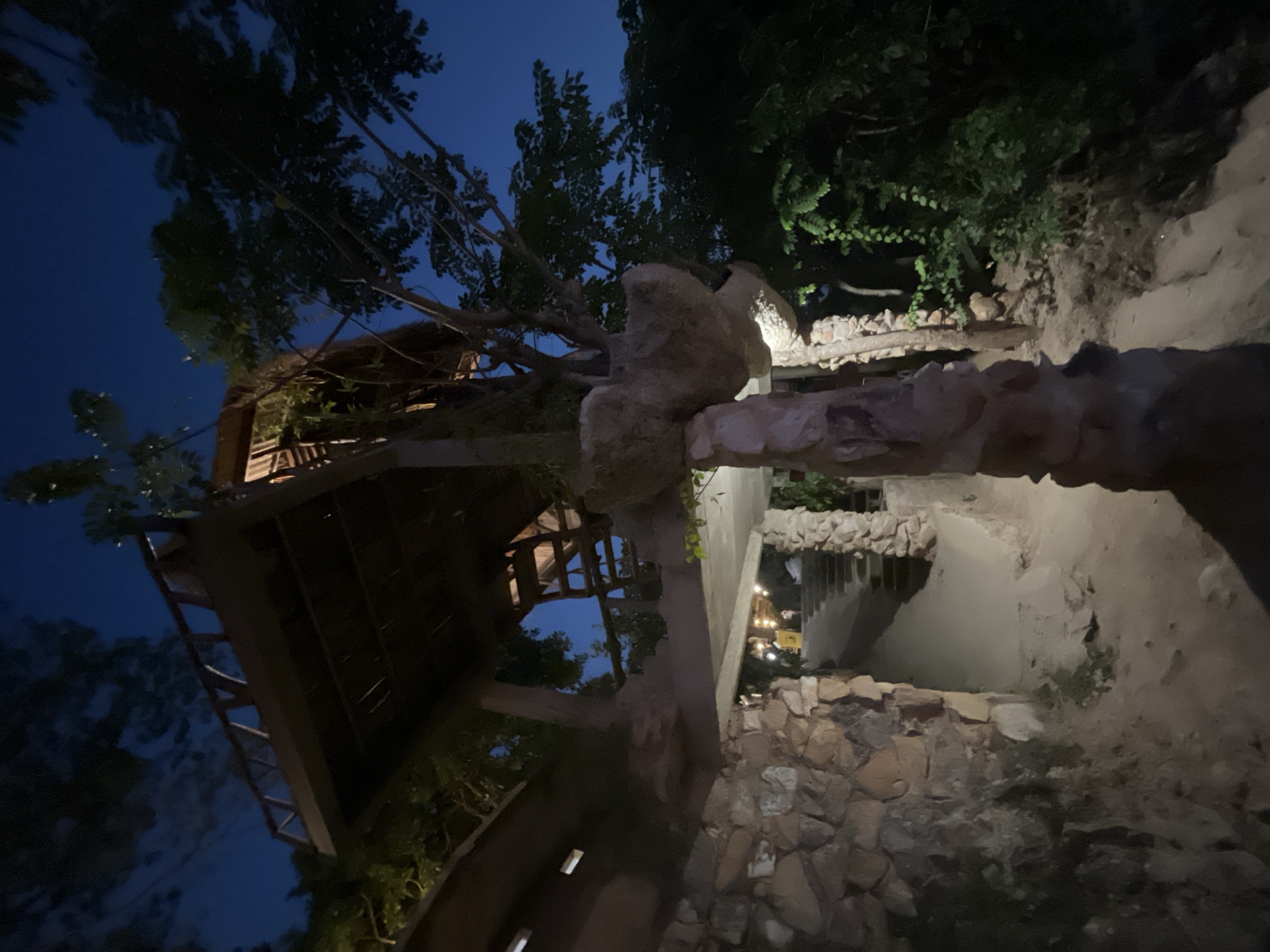 The image depicts an outdoor scene at night, likely a restaurant or lodging with an elevated wooden structure resembling a treehouse or balcony, supported by stone pillars. The architecture incorporates natural elements, with a tree growing through or alongside the structure. A stone wall forms the base of the building on the left, leading to a pathway and stairs. In the background, there are more trees and foliage, suggesting a natural or jungle-like setting. Small lights are visible further up the stairs, hinting at an open area with activity or seating. The sky is dark blue, indicating it is nighttime. The overall atmosphere is rustic and somewhat whimsical, with the interplay of natural and man-made elements. This location is within the city of Karimunjawa, Indonesia.