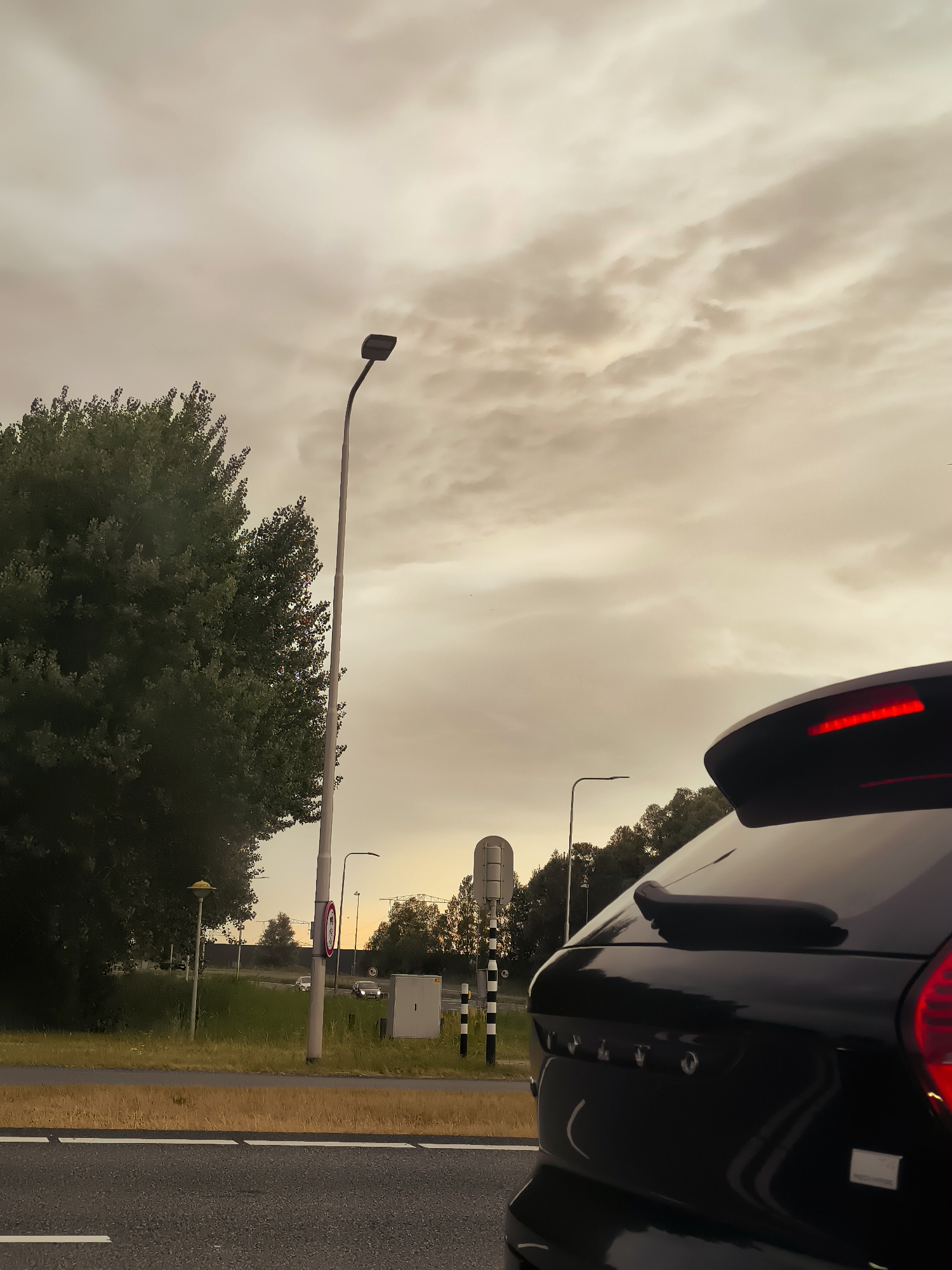 The image depicts a roadside scene in Lelystad, Netherlands. The foreground is dominated by the rear of a black car, likely a Volvo, with its brake lights illuminated. The car is on a paved road with white lane markings. To the left of the road, there is a grassy verge with dry yellow grass and then a broader green grassy area. A large, leafy green tree stands prominently on the left side of the image, its branches reaching towards the sky.

A tall, grey lamppost with a dark fixture stands behind the tree, and further to the right, another, shorter lamppost with a yellow fixture is visible. In the middle ground, a road continues, and several cars are visible in the distance. Traffic signs, including a circular red and white sign, are present along the roadside. A rectangular gray electrical box is situated near the road.

The background is filled with a dense line of trees, beyond which the sky is visible. The sky is overcast with diffused light, suggesting either dawn, dusk, or a cloudy day. The overall impression is of a suburban or semi-rural environment on the outskirts of Lelystad.