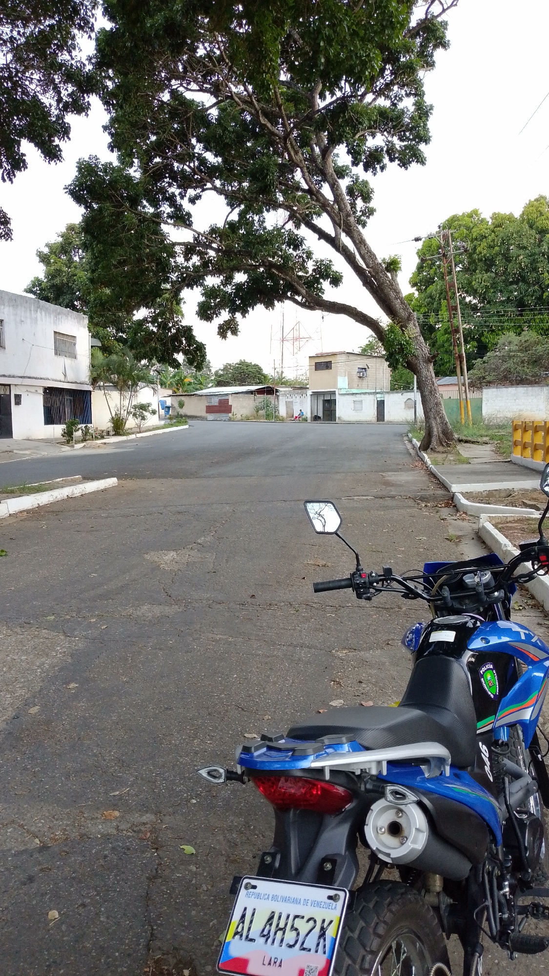 The image captures a quiet residential street in what appears to be Tinaquillo, Venezuela, with a blue motorcycle prominently parked in the foreground. The motorcycle, possibly a dual-sport model, is angled with its rear towards the viewer, featuring a black seat, silver rear rack, and a visible exhaust pipe. Its license plate clearly reads "REPUBLICA BOLIVARIANA DE VENEZUELA" and "AL4H52K" with "LARA" indicating the state of registration. A sticker on the fuel tank bears the words "POLICIA PREVENTIVO".
The street, made of asphalt with some visible cracks, extends into the distance, appearing mostly empty. On either side, there are single-story residential buildings with light-colored walls, some featuring security bars on windows and doors, typical of Venezuelan architecture. Lush, green trees dominate the upper half and right side of the image, with a large, gnarled tree trunk anchoring the right foreground and its canopy providing shade. In the far distance, beyond the houses, utility poles and a communications tower are visible against a bright, overcast sky, suggesting it is daytime. A person or two can be faintly seen resting or sitting outside one of the houses on the right side of the street in the background. The overall impression is one of a calm, everyday scene in a tropical or subtropical neighborhood.