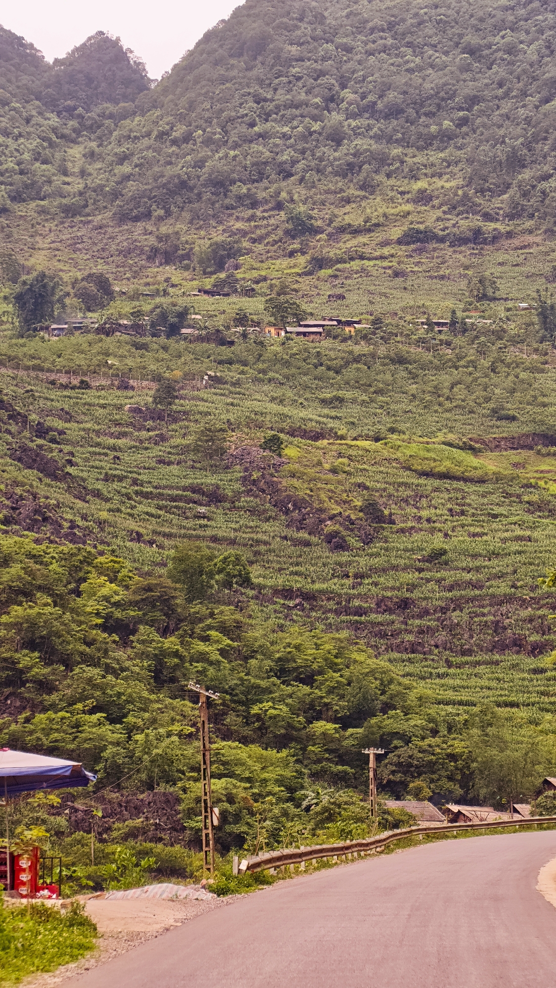 The image depicts a hillside in Cán Tỷ Commune, Vietnam, characterized by terraced farming. The terraces are covered with cultivated crops. A cluster of houses is visible mid-hill. In the foreground, an asphalt road curves alongside a metal guardrail, with power poles positioned near the road. A small roadside stall or shop is to the left of the road, identifiable by a blue tarp. The overall environment is lush and green.