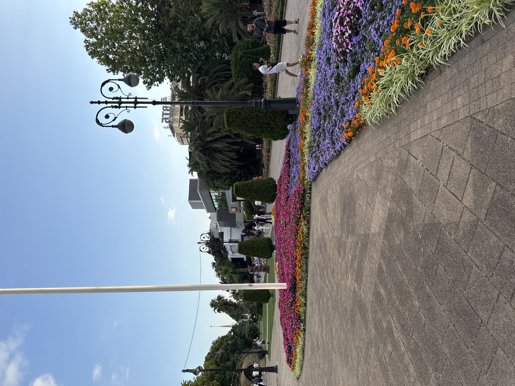The image depicts a vibrant outdoor scene, likely a public park or promenade in Sochi, Russia. The foreground is dominated by a pathway paved with grey interlocking stones, laid in a geometric pattern. To the right of the pathway is an expansive flowerbed bursting with color. It features a dense arrangement of purple, pink, and orange flowers, interspersed with light green foliage.
Beyond the flowerbed, several people are visible walking and interacting. One individual in the mid-ground is captured in motion, seemingly taking a photograph. Further back, more people are scattered along another pathway, some seated and others standing. Lush green trees, including palm trees, and neatly trimmed bushes add to the verdant atmosphere.
In the background, modern buildings with glass facades stand alongside older structures. A prominent street lamp with an ornate design stands tall on the left side of the image. The sky is a clear, bright blue with a few wispy clouds, suggesting a sunny day. The overall impression is one of a pleasant, well-maintained public space designed for leisure and enjoyment. The time of day appears to be daytime, with ample sunlight casting shadows. There is no visible text in the image.