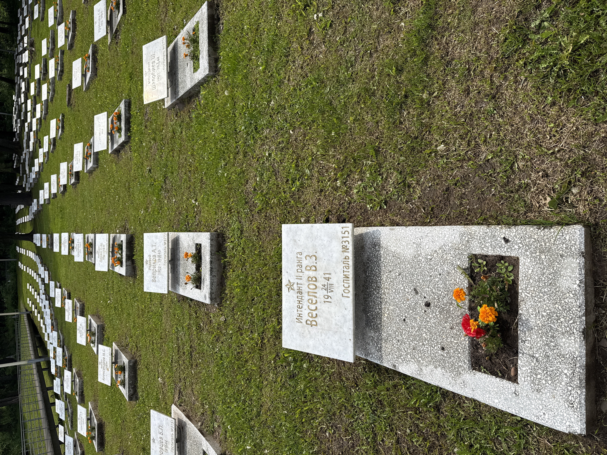 This image captures a solemn military cemetery in Izhevsk, Russia, filled with numerous uniform gravestones arranged in neat, receding rows on a sunny day. The scene features light-colored, rectangular headstones with a recessed planter area at the foot, many containing small, brightly colored flowers such as orange marigolds and red blossoms. Lush green grass covers the ground between the graves, though some patches appear drier. In the distance to the left, a metal fence or railing is partially visible, and dark trees form a backdrop.
The gravestones bear inscriptions in Cyrillic script, commemorating the fallen. The closest gravestone prominently displays: "Интендант II ранга" (Intendant 2nd rank), "Веселов В.З.", "19 24 VIII 41" (indicating a date of death between August 19 and 24, 1941), and "Госпиталь №3151" (Hospital No. 3151). Other visible inscriptions on similar markers include "Рядовой Веприков А.Т. 1902-1943 Госпиталь №3777" (Private Veprikov A.T., 1902-1943, Hospital No. 3777) and "Мерсержант Шалобиев Ш. 1902 1944 Госпиталь №3776" (Sergeant Shalobiyev Sh., 1902-1944, Hospital No. 3776). These details suggest the cemetery is a burial ground for soldiers who died in military hospitals, likely during World War II, given the dates. The overall impression is one of respectful remembrance and the scale of sacrifice.