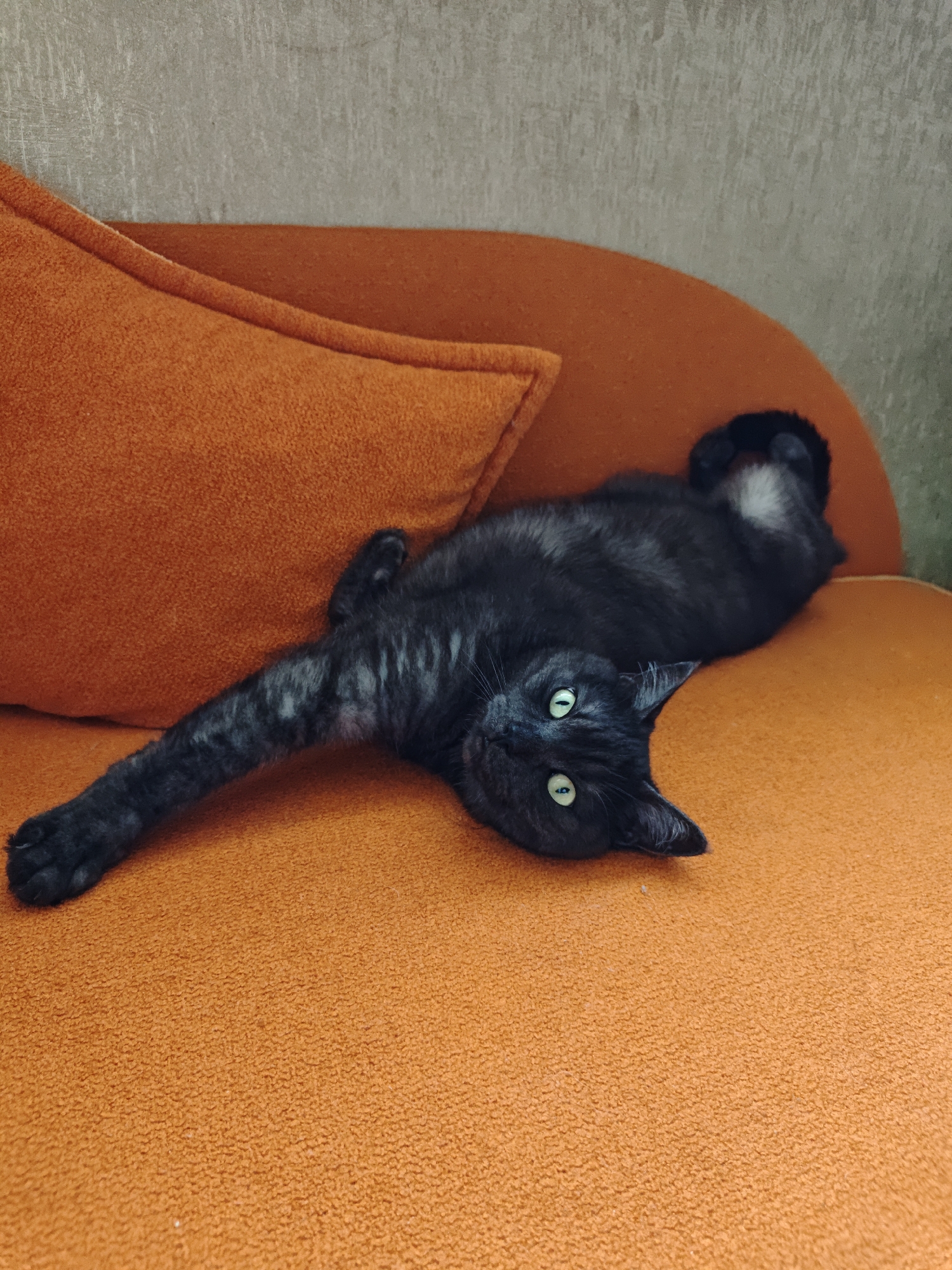 A black cat with bright green eyes is lying on its back on an orange couch. The cat's body is stretched out, with one paw extended towards the viewer. The cat's fur has a subtle grey tabby pattern. The couch appears to be made of a textured fabric. In the background, there is a grey wall and an orange cushion. The image was taken in a residential setting, likely a living room. The specific location of "город Ялта, Ukraine" is not depicted in the image.