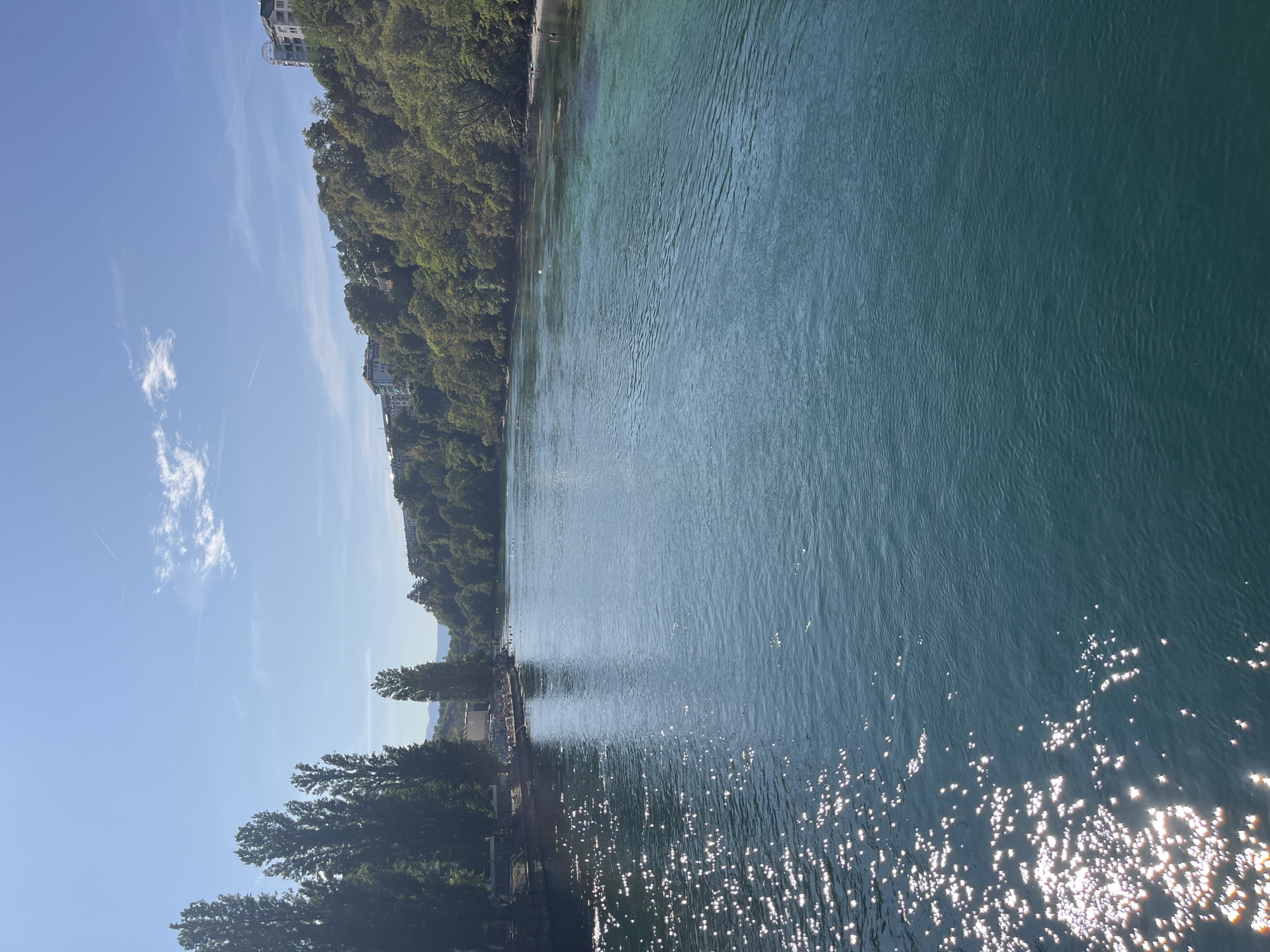 The image depicts a wide, tranquil river with a distinct turquoise hue. Sunlight glints off the water's surface on the left side of the frame, creating a shimmering effect. On the right bank, a lush green hillside is densely covered with trees, and several buildings are visible nestled among the foliage, suggesting an urban or suburban setting. The left bank appears to be a paved promenade lined with tall, slender trees and a few scattered people enjoying the waterfront. The sky is a clear blue with a few wispy clouds and a faint contrail. The overall scene suggests a peaceful, sunny day by a river in Geneva, Switzerland, likely within the city limits given the presence of buildings and developed waterfront.