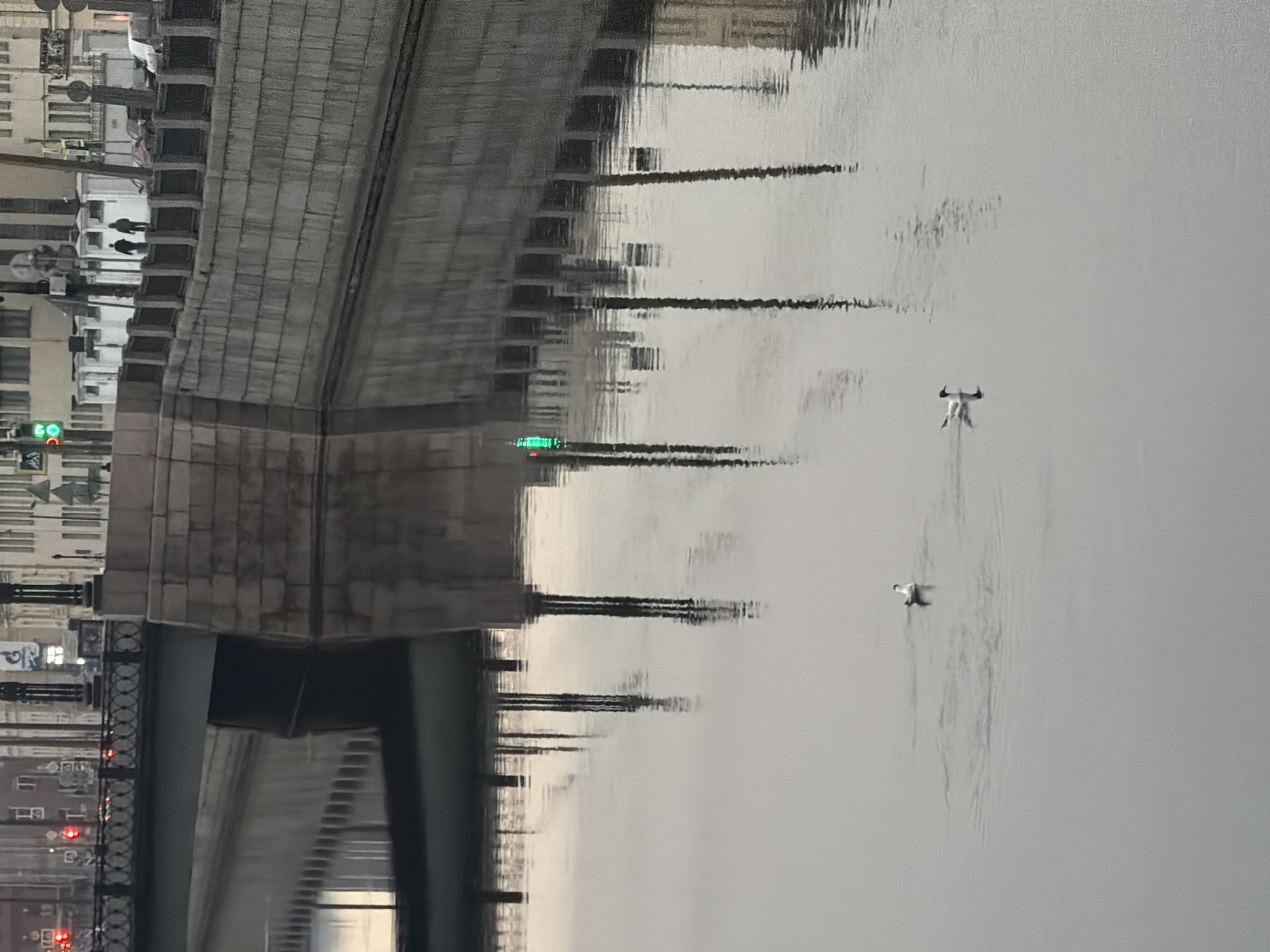 A photograph shows the Neva River in Saint Petersburg, Russia, with a bridge over it and two birds flying over the water. The bridge has grey stone architecture. The reflections of the buildings and lights on the water create a slightly blurry mirroring effect. There is a green traffic light visible near the bridge.