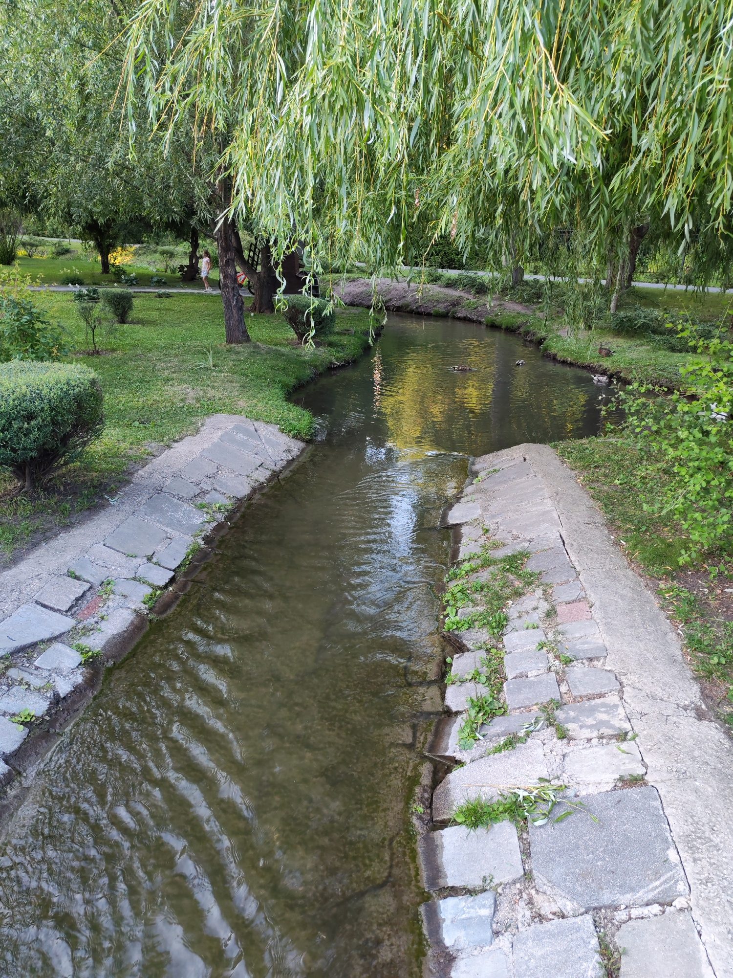 The image depicts a tranquil park scene in Volsk, Russia, featuring a narrow, gently flowing canal bordered by stone pathways and lush greenery. The canal's water reflects the overhead willow branches, creating a dappled pattern on its surface. On the left bank, manicured bushes and grassy areas are visible, while the right bank is also adorned with grass and some bushes. In the distance, a person in white clothing walks along a path, and several ducks are present in the water. The overall impression is one of a serene, natural environment within a park setting.