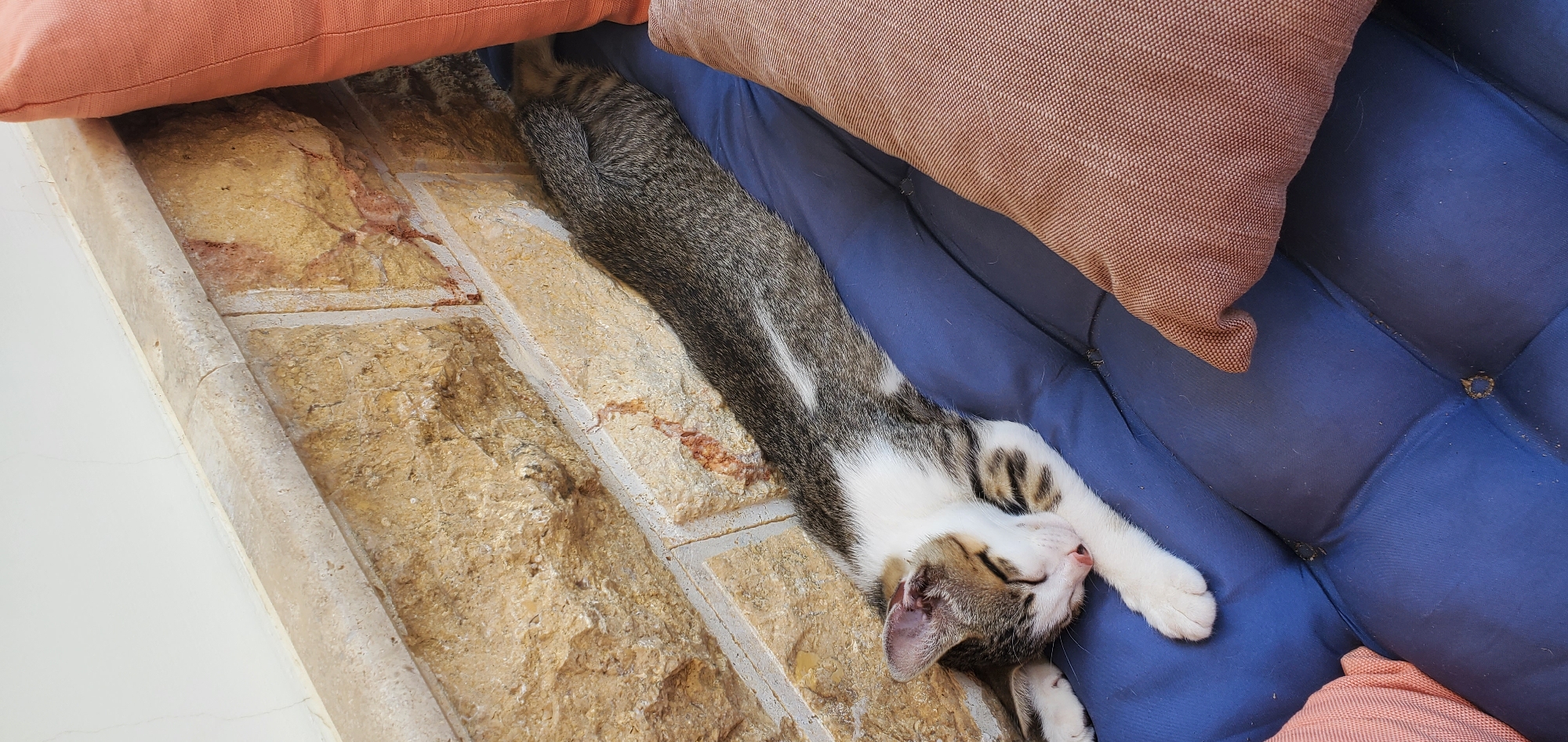 A tabby and white cat sleeps peacefully on a blue cushioned surface. The cat is stretched out lengthwise, with its head resting on its paws. The surface it's lying on appears to be part of an outdoor seating area, possibly a bench or sofa. Behind the cat, a textured, light brown stone wall serves as a backdrop. To the right of the cat, a rust-colored pillow is visible, and to the left, a sliver of another pillow, this one pink, can be seen. The lighting suggests it is daytime, possibly outdoors. The overall scene evokes a sense of tranquility and relaxation. This scene is located in Νέα Σάντα, Greece.