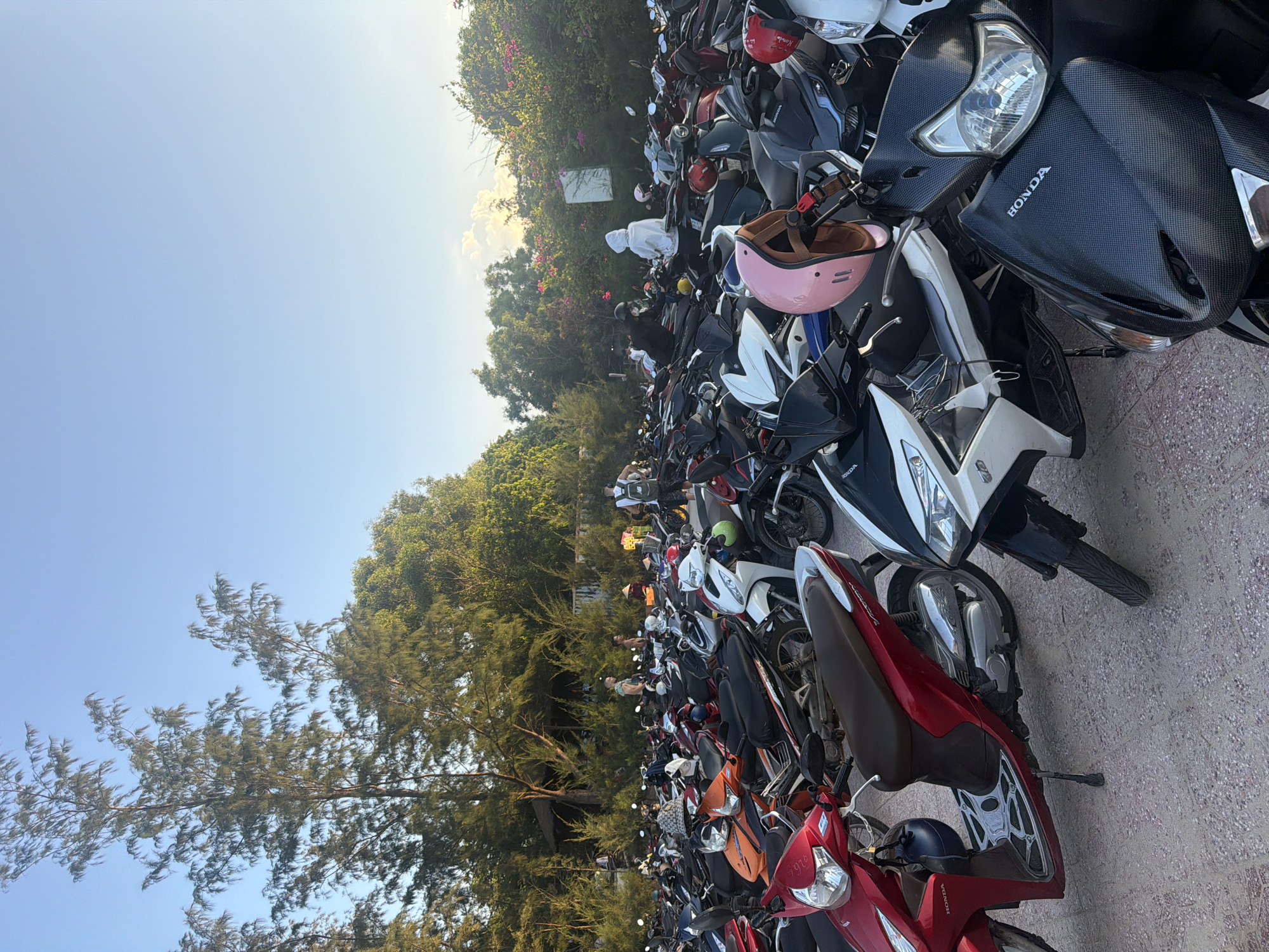 The image depicts a crowded parking lot filled with a large number of scooters and motorcycles, primarily in a light-colored, textured ground surface. The scene is set outdoors with lush green trees and foliage surrounding the parking area, suggesting a tropical or subtropical environment. The sky is clear and blue, indicating daytime.
In the foreground, several scooters are prominently visible. One is a bright red Honda scooter on the left, with its headlight and leg shield clearly displayed. Next to it, to the right and slightly behind, is a white and black scooter. In the middle ground, a predominantly white scooter with black accents is parked. To the right of this, a black scooter with a carbon fiber-like textured front panel and the "HONDA" logo is visible.
Interspersed among the vehicles are various helmets, including a pink helmet on a handlebar in the middle right of the frame. There are several individuals present in the parking lot. Some are standing near their scooters, while others are walking through the crowded rows. In the middle ground, a person wearing a white hooded garment is standing, and another person in a black shirt is near a scooter. Further back, a few individuals are seen in the distance, and some appear to be interacting with each other. One person is wearing a conical hat, a traditional Vietnamese headwear.
The background features more trees and vegetation, with some flowering plants visible on the right side. The overall impression is a busy parking area, likely in a public space such as a tourist attraction or a commercial area in Cam Lam, Vietnam, given the presence of scooters and the distinctive foliage. The lighting suggests it is either late afternoon or early morning, with the sun casting some warm light.