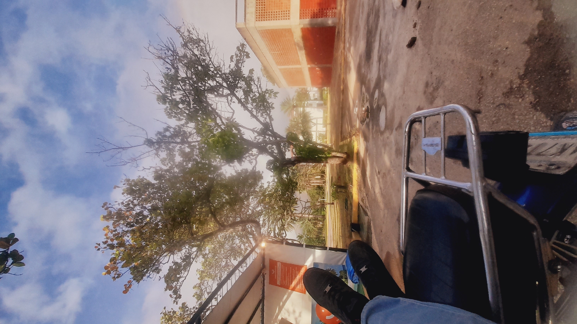 The image, oriented correctly in portrait mode, depicts an outdoor scene under a partly cloudy sky in Pedro González, Venezuela.
In the foreground, the lower half of a person's body is visible, with legs clad in blue jeans and feet wearing dark shoes, suggesting a relaxed posture, possibly seated. Adjacent to them, on the right, is a portion of a blue motorcycle or scooter, featuring a black seat and a prominent chrome luggage rack. A small, metallic plaque is attached to the luggage rack, but any text on it is indistinct. To the left of the person, a white canopy or tent structure provides shade, with an orange rectangular sign mounted on it containing blurred, unreadable text.
The ground surface, primarily concrete or asphalt, extends from the foreground into the midground. It appears somewhat wet or reflective in various spots, possibly indicating puddles or recent rainfall. Yellow ground markings are also discernible. A prominent tree with a thick trunk and a mix of green and sparser branches stands in the mid-left, with other trees and foliage in the background.
In the upper right quadrant of the image, a brick building with distinctive horizontal ventilation grilles near its top is visible. The sky above is bright blue with scattered white clouds, indicating a daytime setting, likely late morning or early afternoon, with ample natural light. The overall atmosphere conveys a sense of calm and leisure in a public or semi-public outdoor space.