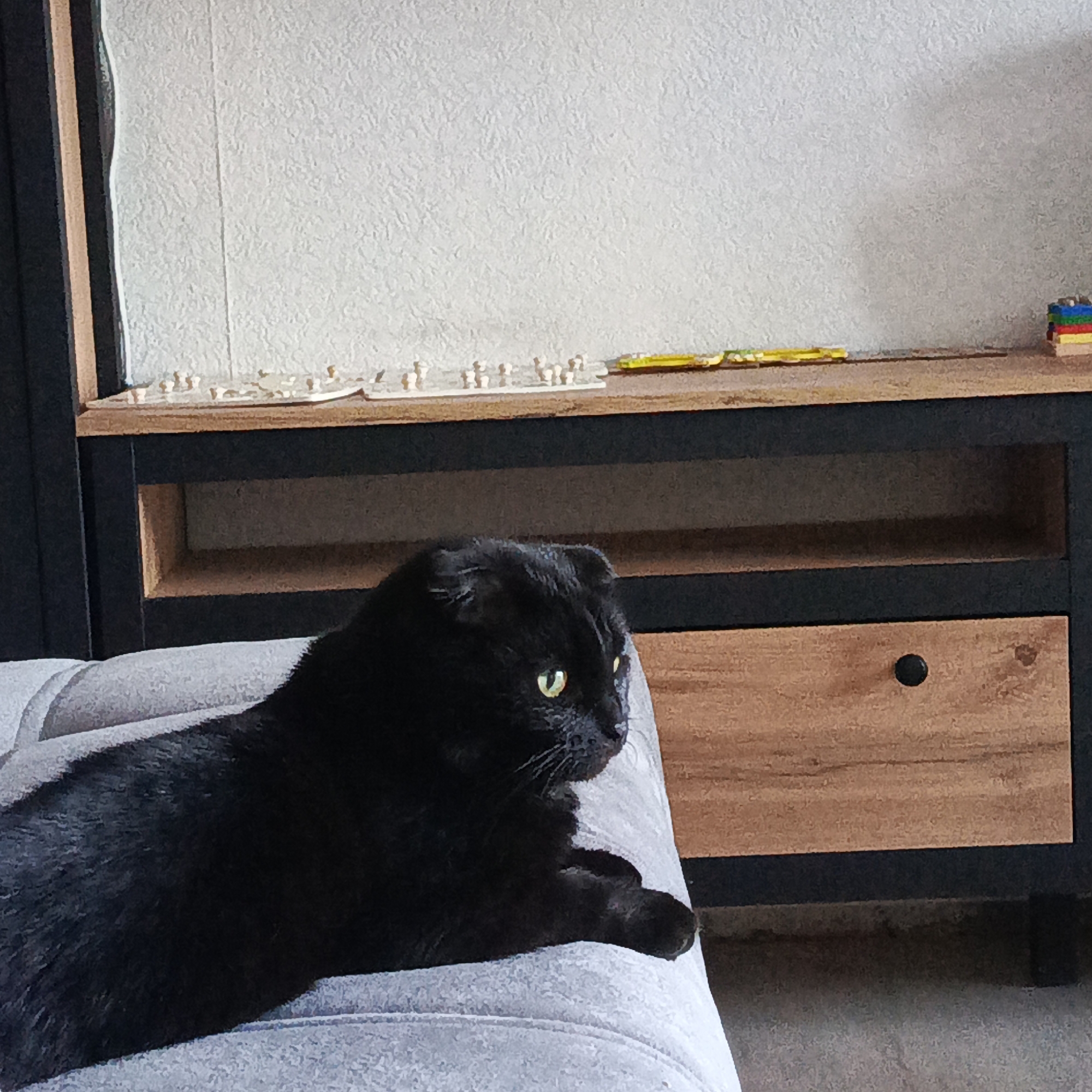 A black cat with yellow eyes is lying on a gray couch. Behind the couch is a wooden cabinet with a black frame. On top of the cabinet are wooden puzzles, a yellow object, and a colorful stack of building blocks. The background is a textured white wall. The location is Марковский, Russia.