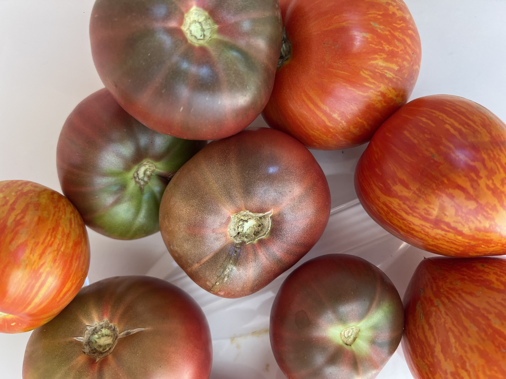 The image displays a collection of heirloom tomatoes, likely placed on a white surface. Several tomatoes exhibit deep red and brown hues with green undertones, indicative of varieties such as Cherokee Purple or Black Krim. Other tomatoes feature a distinctive striped pattern of red and orange, characteristic of heirloom varieties like Brandywine or Tigerella. The lighting suggests an indoor setting with natural light. There is no visible indication of the city of Tolyatti, Russia, nor are there any people or actions depicted.
