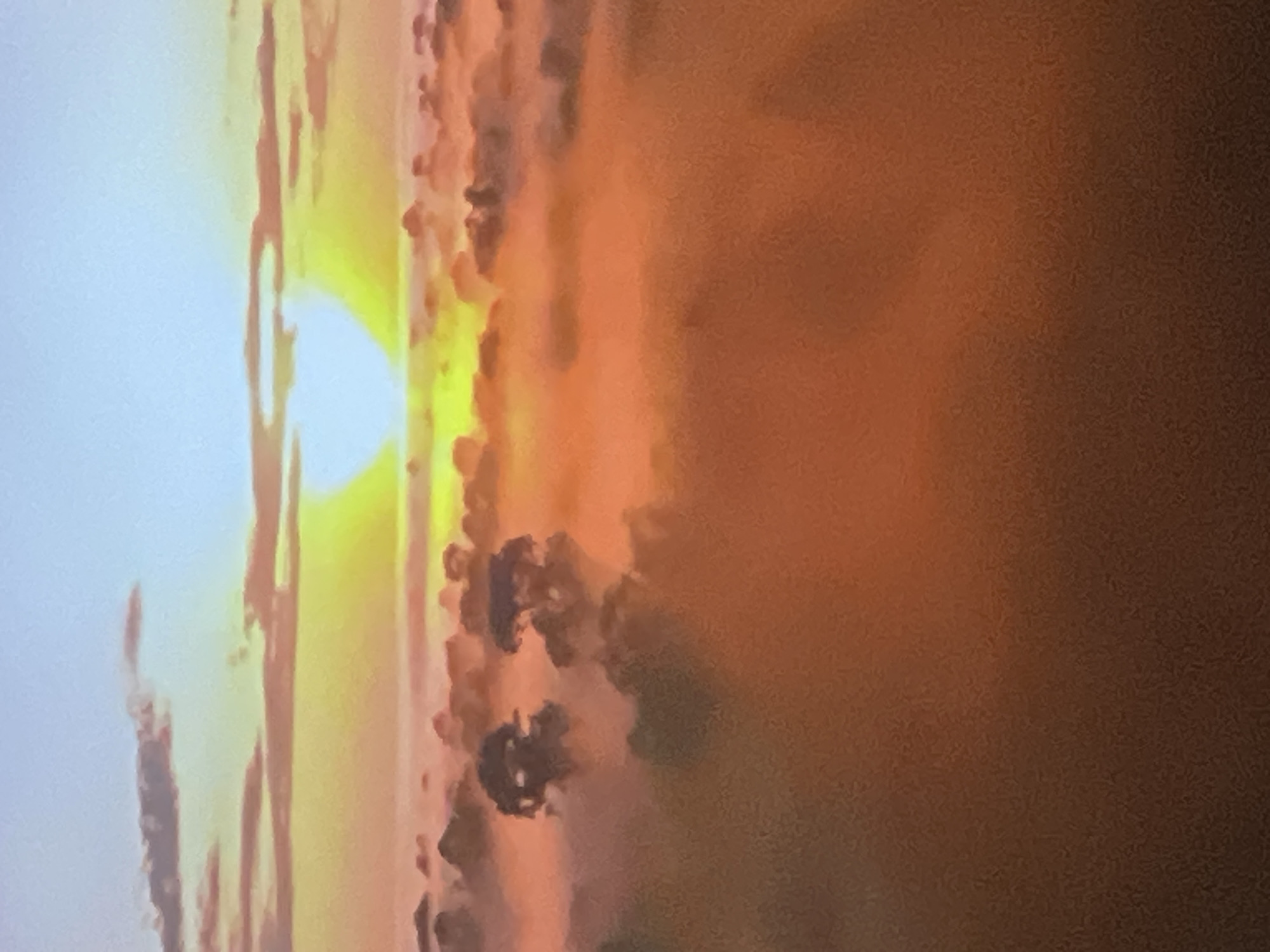 The image shows a dramatic aerial view of a sunrise over what appears to be a savanna landscape with acacia trees. The sun, a bright white disc with a golden halo, is just above the horizon, casting a warm orange and yellow glow over the scene. Thick layers of fog or clouds fill the lower half of the image, obscuring the ground and giving the impression of floating islands. Silhouetted against the bright sky and fog are several distinctive acacia trees, their flat-topped canopies poking out from the mist. The sky transitions from a pale blue at the top to yellow and orange near the horizon, with scattered, wispy clouds. The overall impression is one of a serene and majestic natural landscape at dawn. There is no indication of the city of Casablanca, Morocco, or any urban elements in this image.
