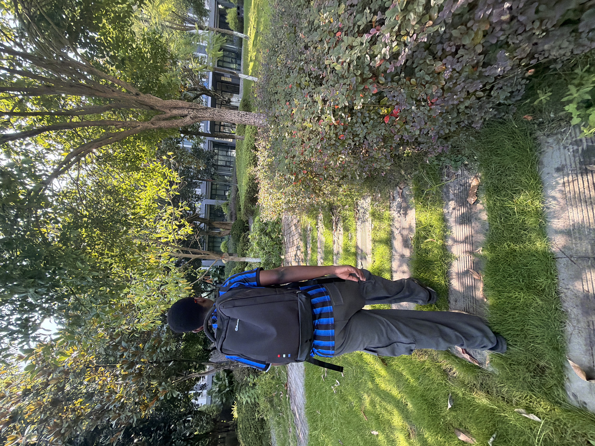 A young Black male, wearing a blue and black striped shirt and gray cargo pants, walks away from the camera along a path of stepping stones. He is carrying a black backpack. The path is flanked by green grass and a dense bush with red and green leaves. Tall trees with green foliage cast shadows on the ground. In the background, modern buildings with large windows are visible. The scene appears to be a park or courtyard area within the city of Jiangjin, China, bathed in natural sunlight.