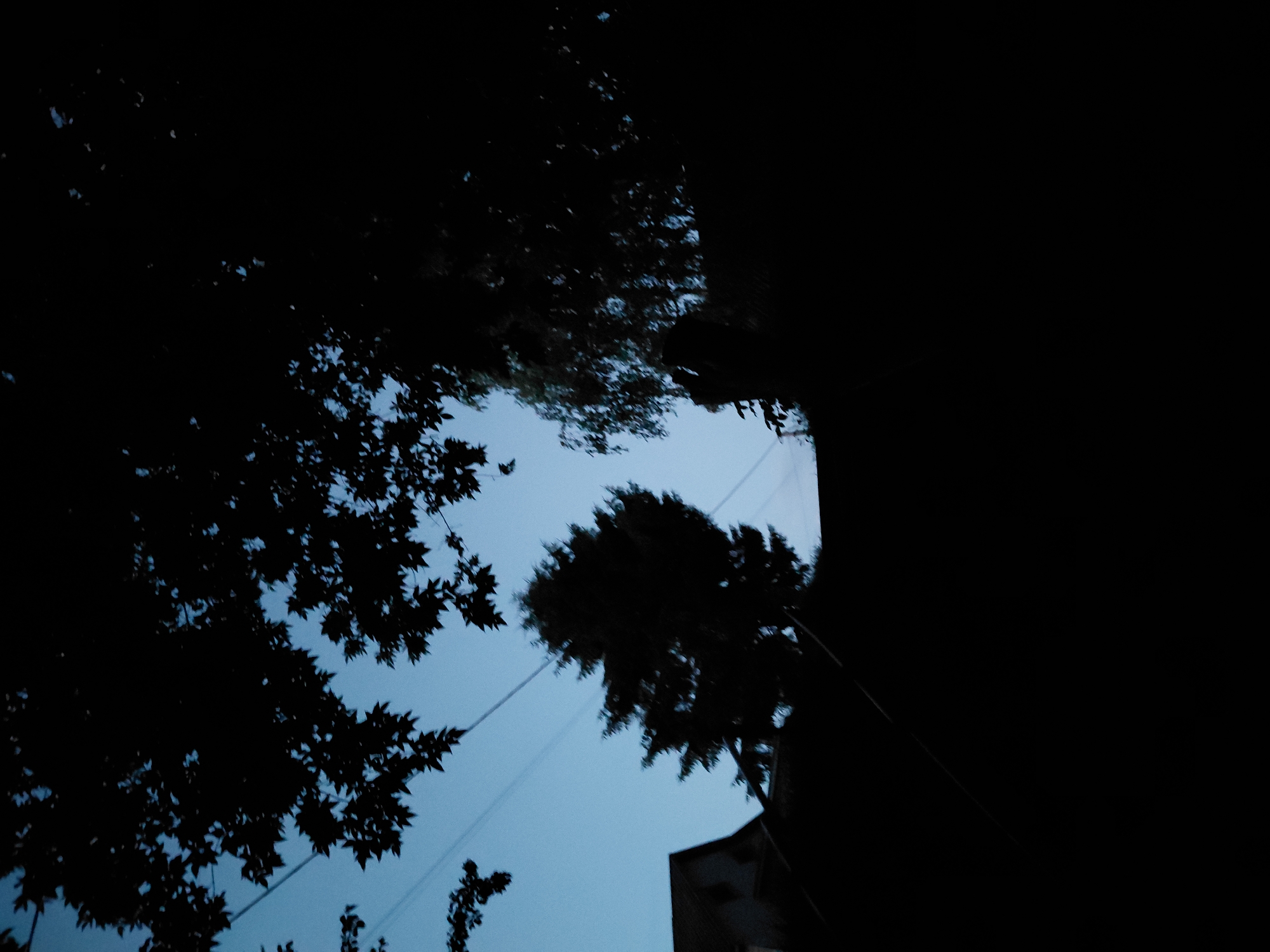 This image, taken in the city of Ustyvytsia, Ukraine, depicts a twilight scene with a clear blue sky. Silhouetted against the sky are the dark shapes of trees, branches, and what appears to be a house with a gable roof on the left. Power lines are visible stretching across the frame. In the foreground, the ground and more vegetation are rendered as solid black silhouettes, obscuring any details. The overall impression is one of a rural or suburban landscape at dusk.