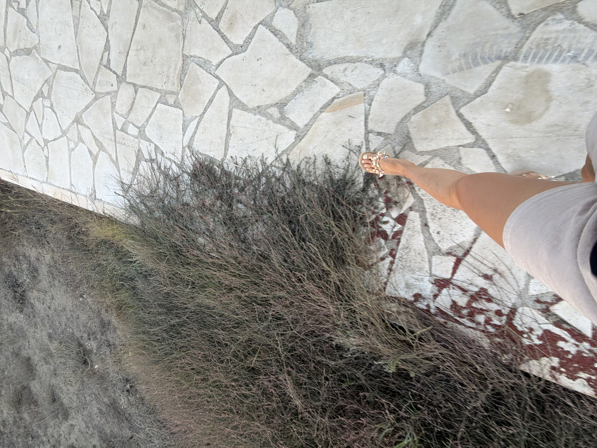 A low-angle shot shows a person's right leg from the knee down, wearing a light-colored dress and a decorative sandal, walking on a stone pathway adjacent to dry, brushy vegetation. The pathway is made of irregularly shaped, light-colored stones with dark grout lines, forming a mosaic-like pattern. The vegetation to the left is dense and appears dry, with thin, brown stems and some hints of green. The ground to the far left is a textured, dusty surface. The scene is outdoors, suggesting a natural or semi-natural environment within Meneou, Cyprus. The lighting is natural, and the overall impression is one of movement and exploration.