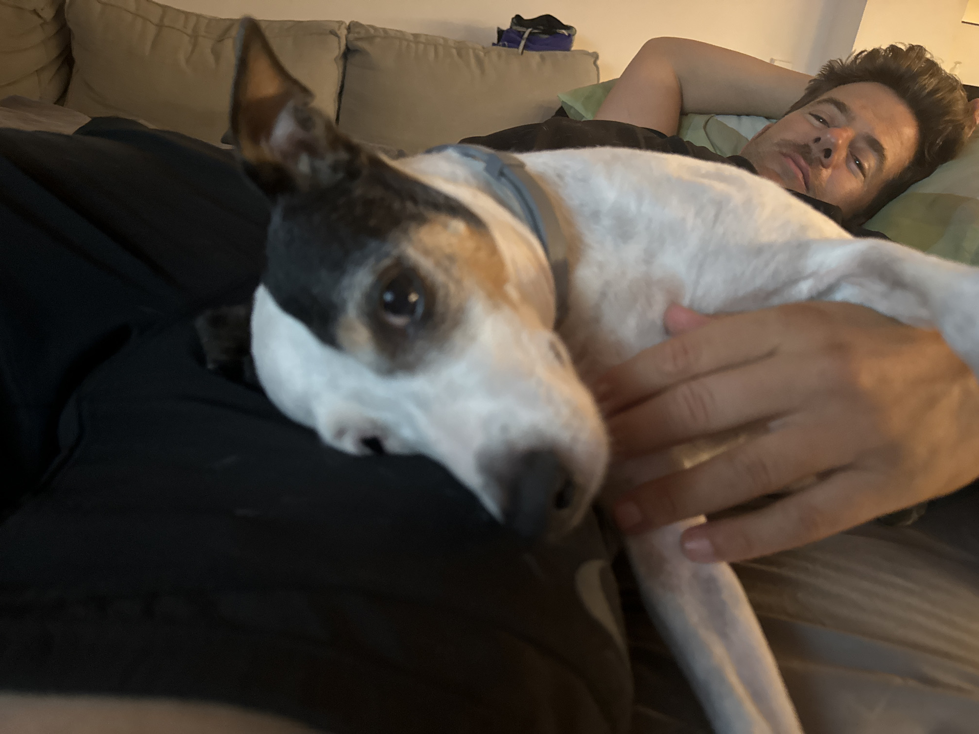 The image shows a man and a dog lying on a couch. The man is on his back, with his head resting on a pillow. He is wearing a black t-shirt. The dog is lying next to him, on its side, with its head resting on the man's chest. The dog is white with black and tan markings. The couch is light brown and appears to be in a living room. There is a pile of clothes in the background, on top of the couch. The lighting in the room is dim, suggesting it is nighttime or the curtains are closed. There is no indication of the location being in the city of Murcia, Spain.