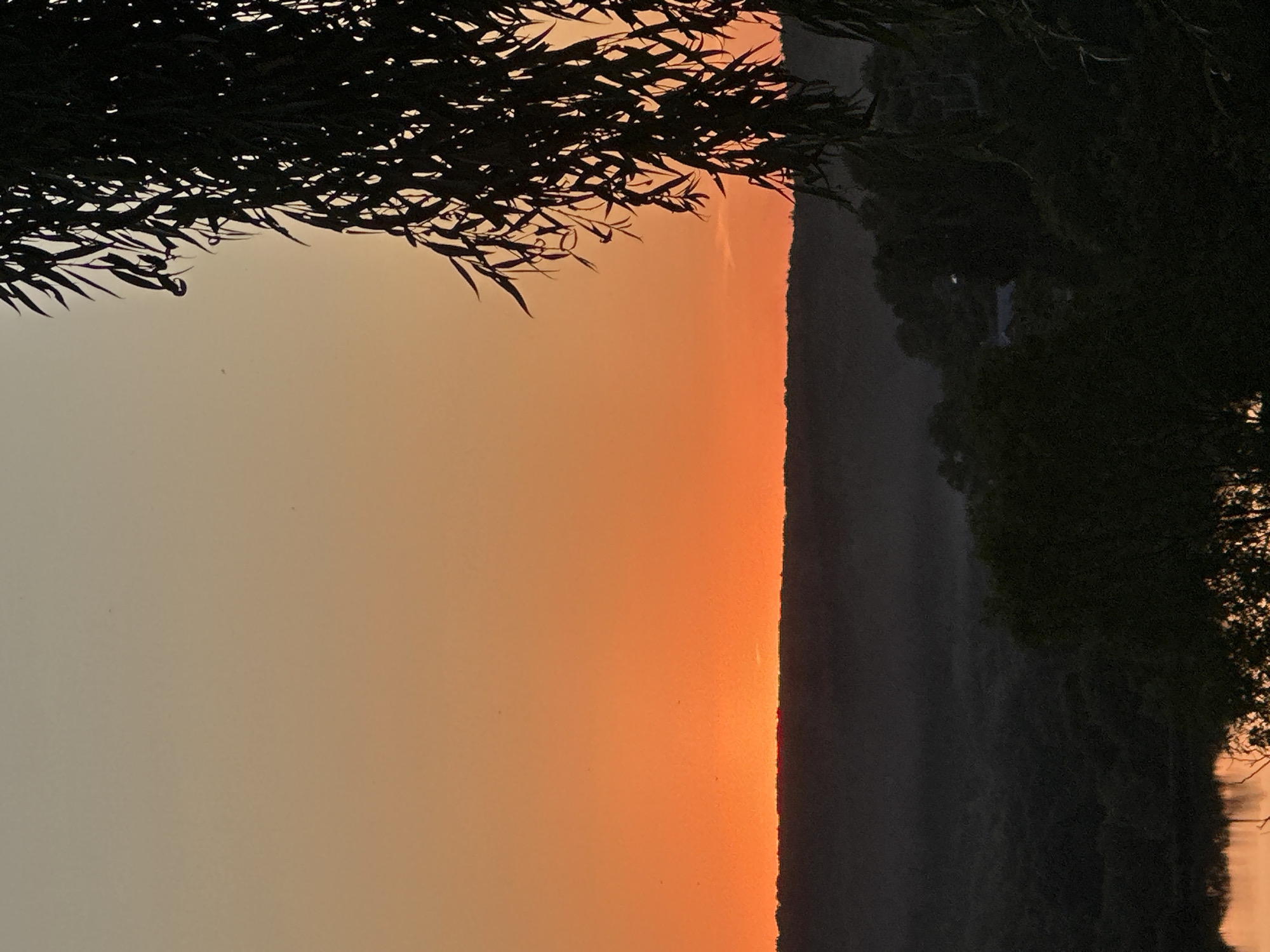 This is a silhouette of a landscape at dusk in Makiv, Ukraine. A tree with long, wispy leaves hangs in the foreground on the right side of the image, obscuring part of the view. The sky is a gradient of warm colors, transitioning from a pale yellow at the top to a vibrant orange near the horizon. Below the sky, a dark, undulating line represents a distant hill or treeline. The lower portion of the image shows a darker, more obscured landscape with some hints of mist or fog. In the bottom left corner, a sliver of water reflects the orange light of the sky. There are no people or discernible animals visible in the scene. The overall impression is one of a quiet, natural setting at the end of the day.