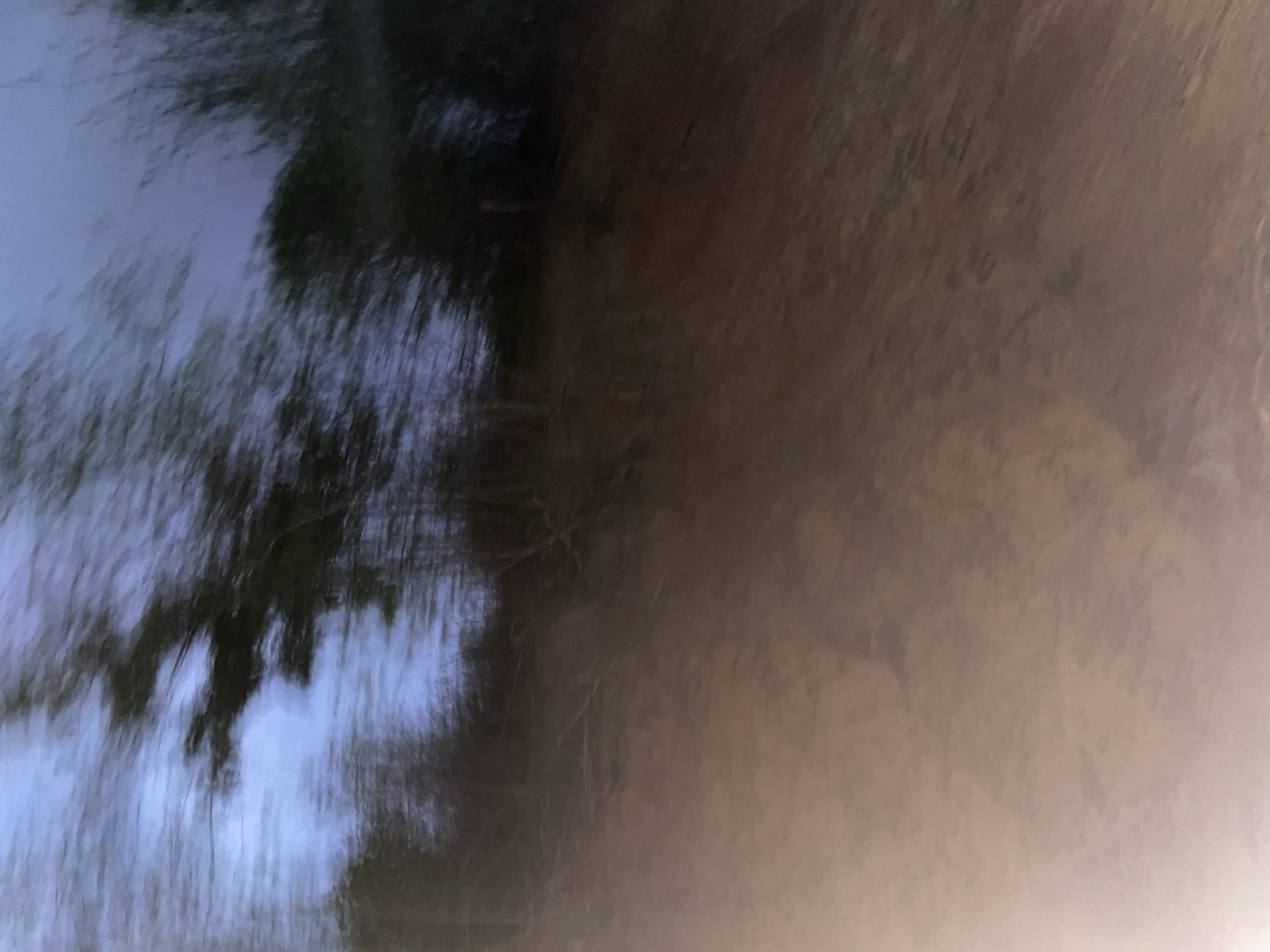The image depicts a blurry, abstract scene of trees and a brown, sloped surface against a twilight sky. There are no identifiable people, objects, or specific actions visible. The motion blur suggests movement during the capture of the photograph. The environment appears to be natural, possibly a park or wooded area. There are no visual cues to suggest a specific location within San Sebastián, Venezuela.