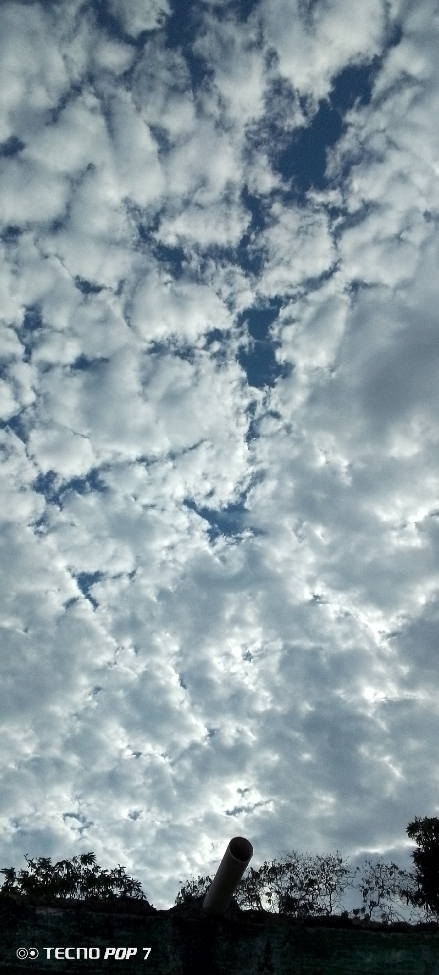 The image depicts a sky filled with altocumulus clouds, with patches of blue visible between them. The clouds appear dense and layered. In the lower part of the frame, there are treetops and a section of what seems to be a building or wall. A cylindrical pipe is leaning at an angle over the wall. The words "TECNO POP 7" are printed in the lower left corner. The location information provided suggests this image was taken in Altagracia, Venezuela.