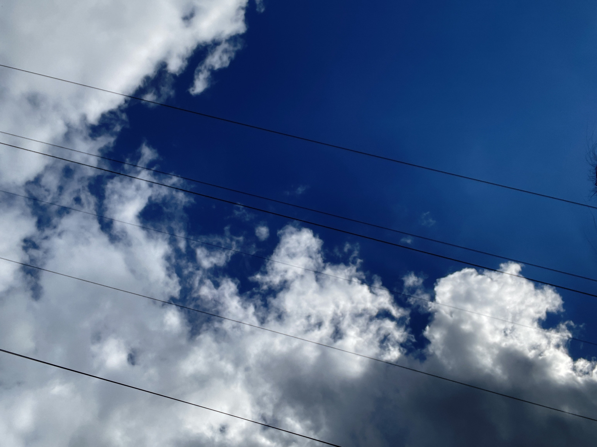 A low-angle outdoor shot captures a patch of deep blue sky partially obscured by wispy white clouds and three dark, thin power lines stretching diagonally across the frame from the upper left to the lower right. The clouds are dense and voluminous on the left, with lighter, more scattered formations on the right. In the very bottom center of the image, a few strands of dark hair are visible, suggesting the photo was taken from the perspective of someone looking up. The scene is devoid of any other recognizable objects or individuals.