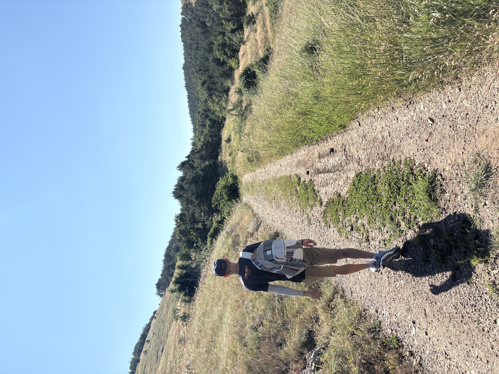 A lone individual walks away from the camera on a dirt path in a grassy, hilly landscape under a clear blue sky. The person is wearing a dark t-shirt, khaki shorts, a dark baseball cap, and a backpack with a patterned fabric. The path is flanked by dry grass and sparse green vegetation on the left, and taller, lush green grass on the right. In the background, a wooded hillside recedes into the distance, with a dense cluster of dark green trees forming the upper portion of the scene. The sun is high in the sky, casting a long shadow of the walker on the path. The overall impression is one of a tranquil, outdoor excursion in a natural setting.