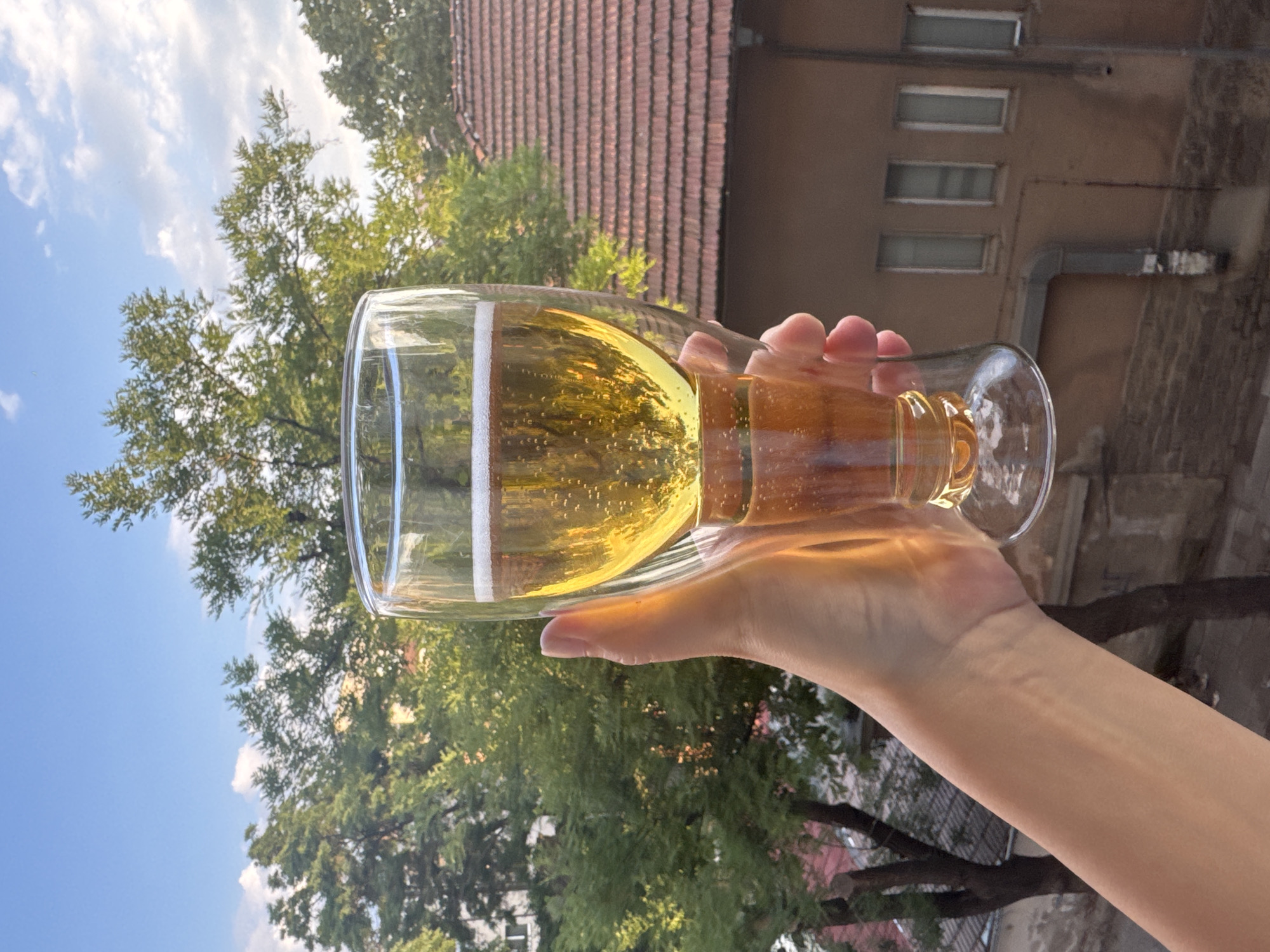 A person's hand holds a double-walled glass of golden-hued beer. The beer has a frothy white head and contains numerous small bubbles. The glass is set against a backdrop of lush green trees and a clear blue sky with scattered white clouds. In the mid-ground, a red-tiled roof of a building is visible, along with a brown facade of another building featuring several tall, rectangular windows and a grey pipe running vertically down its side. The scene appears to be set on a balcony or elevated vantage point, looking out over an urban landscape. While the specific street or district in Plovdiv, Bulgaria, cannot be determined from the visual information alone, the architectural style of the building suggests an older European city.