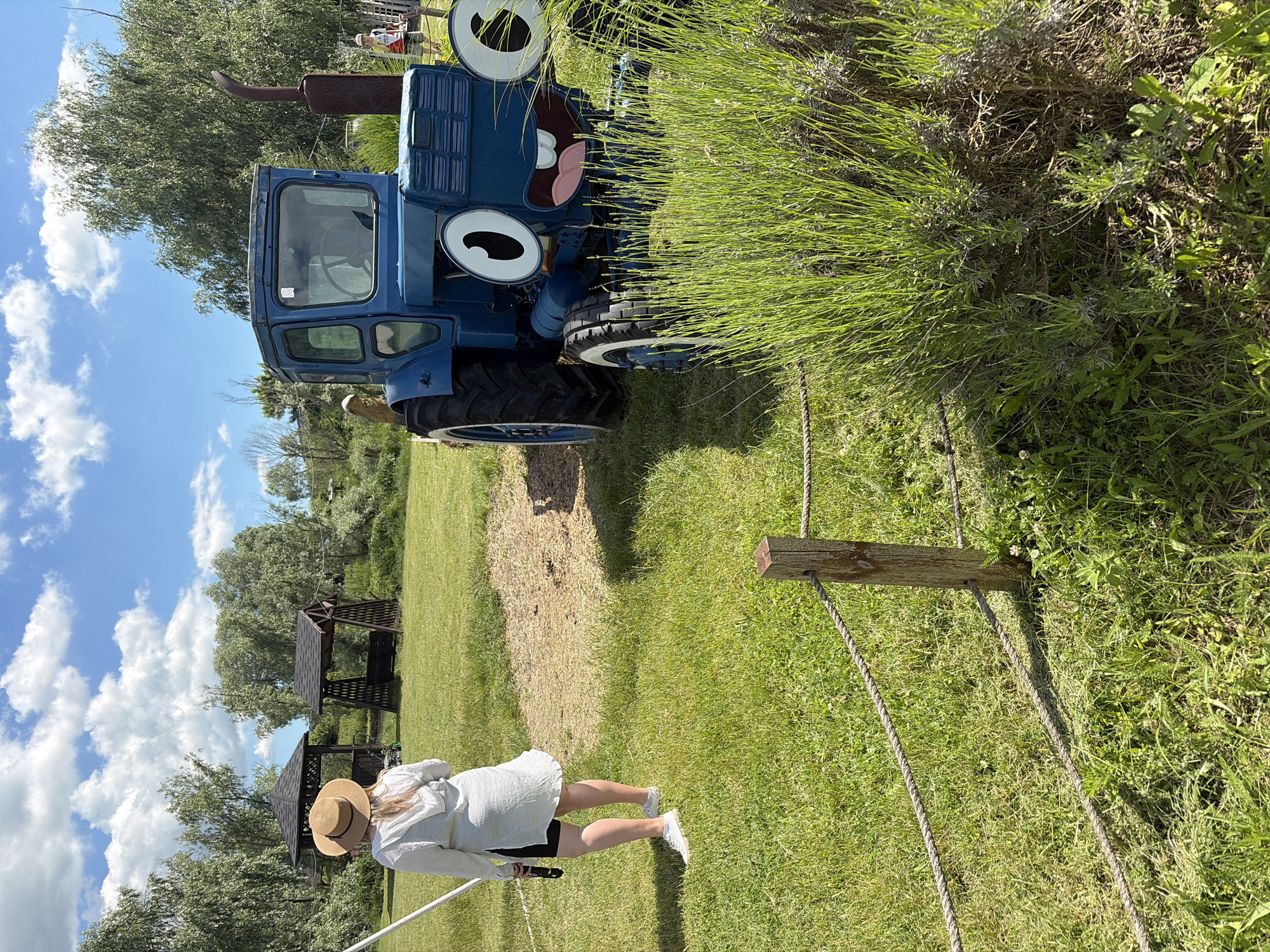 The image displays an outdoor scene on a bright, sunny day, featuring a person, a decorated tractor, and park-like elements.
A person, viewed from behind, walks across a verdant green lawn from left to right. They are dressed in a light-colored, long-sleeved top, dark shorts, white sneakers, and a straw hat. In their right hand, they hold a long white object, possibly a selfie stick. The sun casts distinct shadows, indicating midday or early afternoon.
To the left of the person and towards the background, two wooden gazebos with dark, pointed roofs are visible, set among scattered trees. The sky above is a clear blue with several white, cumulus clouds.
Prominently featured on the far left is a blue tractor, which has been whimsically decorated to resemble a cartoon character. It sports large white eyes with black pupils and a wide-open mouth revealing a pink tongue, giving it an animated expression. The tractor has robust black tires with white sidewalls and a rusty, upward-pointing exhaust pipe. A white number "6" is visible on its side. It is partially obscured by a dense bush of slender green plants, possibly lavender, that runs along the left edge of the walking area.
A simple barrier, composed of a rope strung between wooden posts, extends along the right side of the pathway where the person is walking. The ground is predominantly covered in lush green grass, with some drier, lighter patches visible further into the field.
There is no visible text in the scene beyond the number "6" on the tractor. The overall atmosphere suggests a leisurely and pleasant outdoor setting.