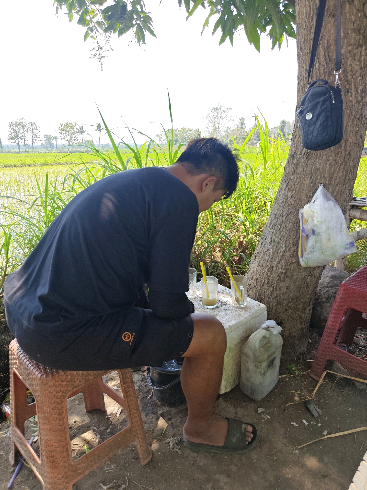A man in a black long-sleeved shirt and black shorts is sitting on an orange plastic stool under a tree. He is looking down at two glasses of a light-colored beverage with yellow straws on a white cooler. A black bag is hanging from the tree and a white plastic bag is also attached to the tree. Behind the man is a rice paddy. The ground is dirt and debris. The scene is located in Cermee, Indonesia.