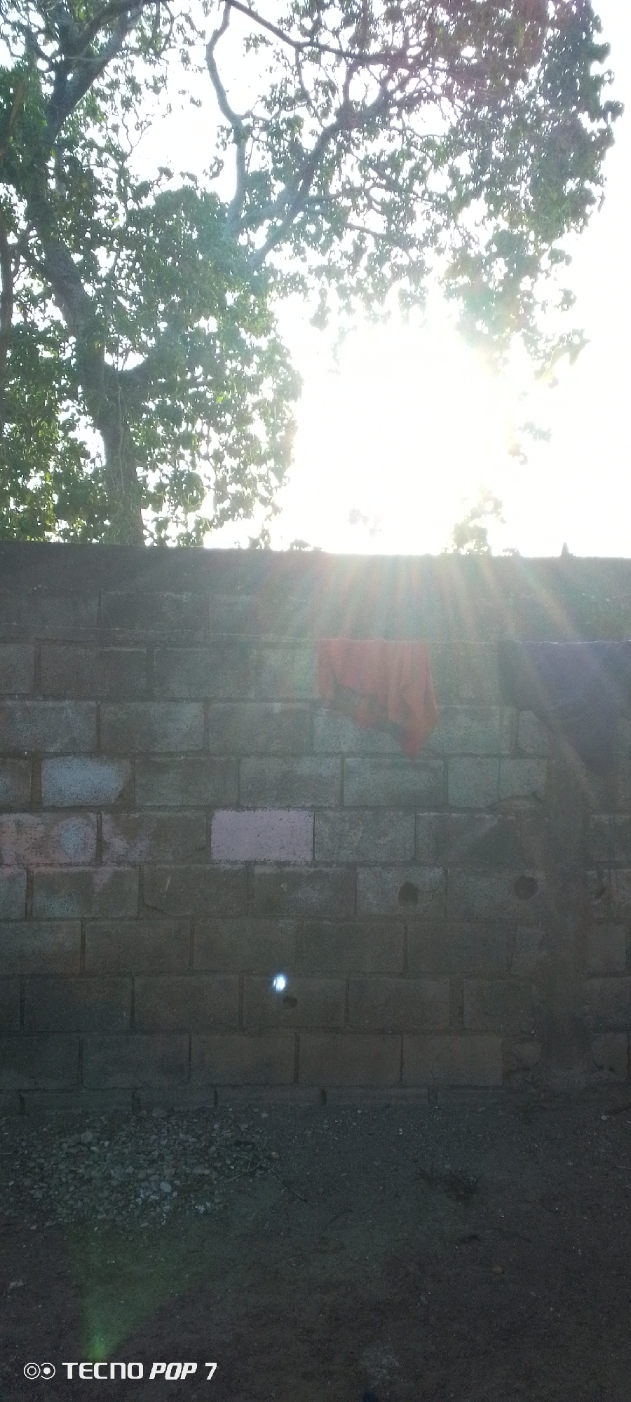 The image depicts a stone brick wall with clothing hanging on it, partially illuminated by sunlight. Above the wall is a tree with dense foliage, obscuring most of the bright sky. The foreground consists of a dark, gravelly surface. The photo was taken by a Tecno Pop 7 mobile phone. While the location is given as Altagracia, Venezuela, there are no features in the image that specifically confirm this location. The scene appears to be outdoors.