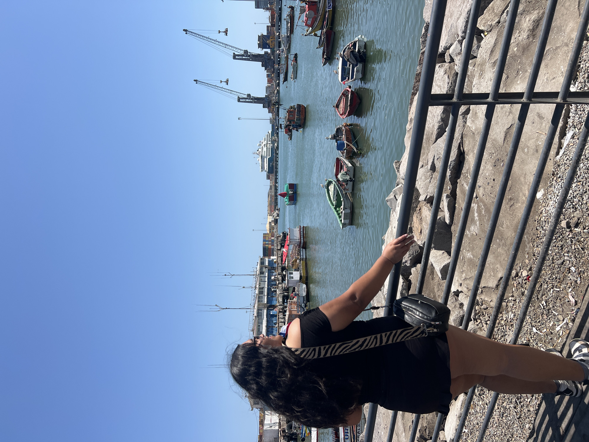 A slightly rotated, full outdoor shot shows a woman looking over a railing at the port in Arica, Chile on a clear, sunny day. The woman, wearing a black top, black shorts, striped purse strap, and sneakers, stands beside a dark grey metal railing. Beyond the railing, large grey rocks lead down to the port. The port is filled with several small boats and a few larger ships. Several yellow and grey industrial cranes sit at the edge of the port and a few buildings sit between the cranes and ships.