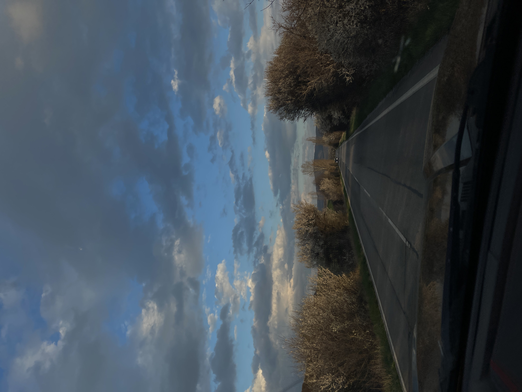 The image shows a road stretching into the distance with bare trees lining both sides. Above, the sky is filled with a mix of dark and light clouds. The photo appears to have been taken from inside a vehicle, with part of the car visible on the right side of the frame. The location is Yardzhilovtsi, Bulgaria, but specific landmarks or buildings identifying it are not visible.