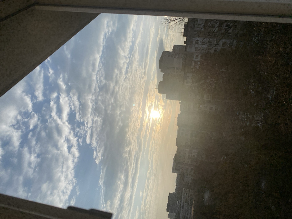 The scene depicts an elevated view of a residential area in Sofia, Bulgaria, framed by the internal structure of a window or balcony. The upper portion displays a sky with scattered altocumulus clouds on a light blue background. The sun, a bright white-yellow orb, is centrally positioned towards the upper-left, emitting significant glare and lens flare across the mid-section, indicating a low sun angle consistent with either sunrise or sunset. Below the horizon, a dense urban landscape is visible, composed of multiple multi-story, concrete residential buildings characteristic of socialist-era architecture, exhibiting weathered facades and varied window arrangements. The foreground and lower mid-ground are occupied by a dense concentration of dormant deciduous trees and shrubs, with sporadic patches of white ground cover suggesting snow or frost. No human figures or discernible activities are present within the captured frame.