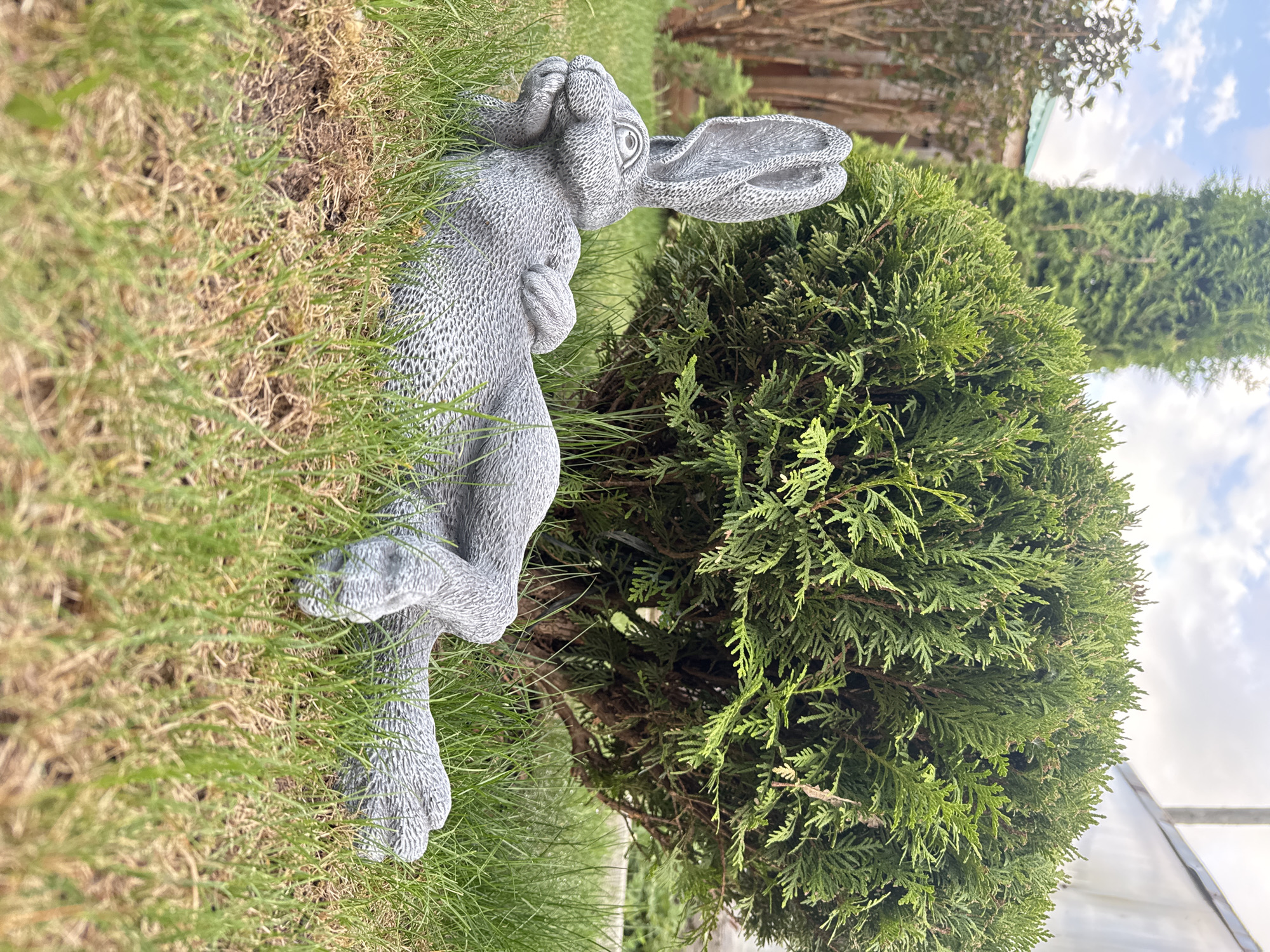 A gray stone rabbit statue stands on its hind legs in a grassy area in Прикамский, Russia. The statue has long ears and its forepaws are held close to its chest. A dense, round, green bush grows behind the rabbit. The sky is partially visible in the background, with some tree branches and a white structure. The grass is a mix of green and brown, suggesting it might be dry or in transition.