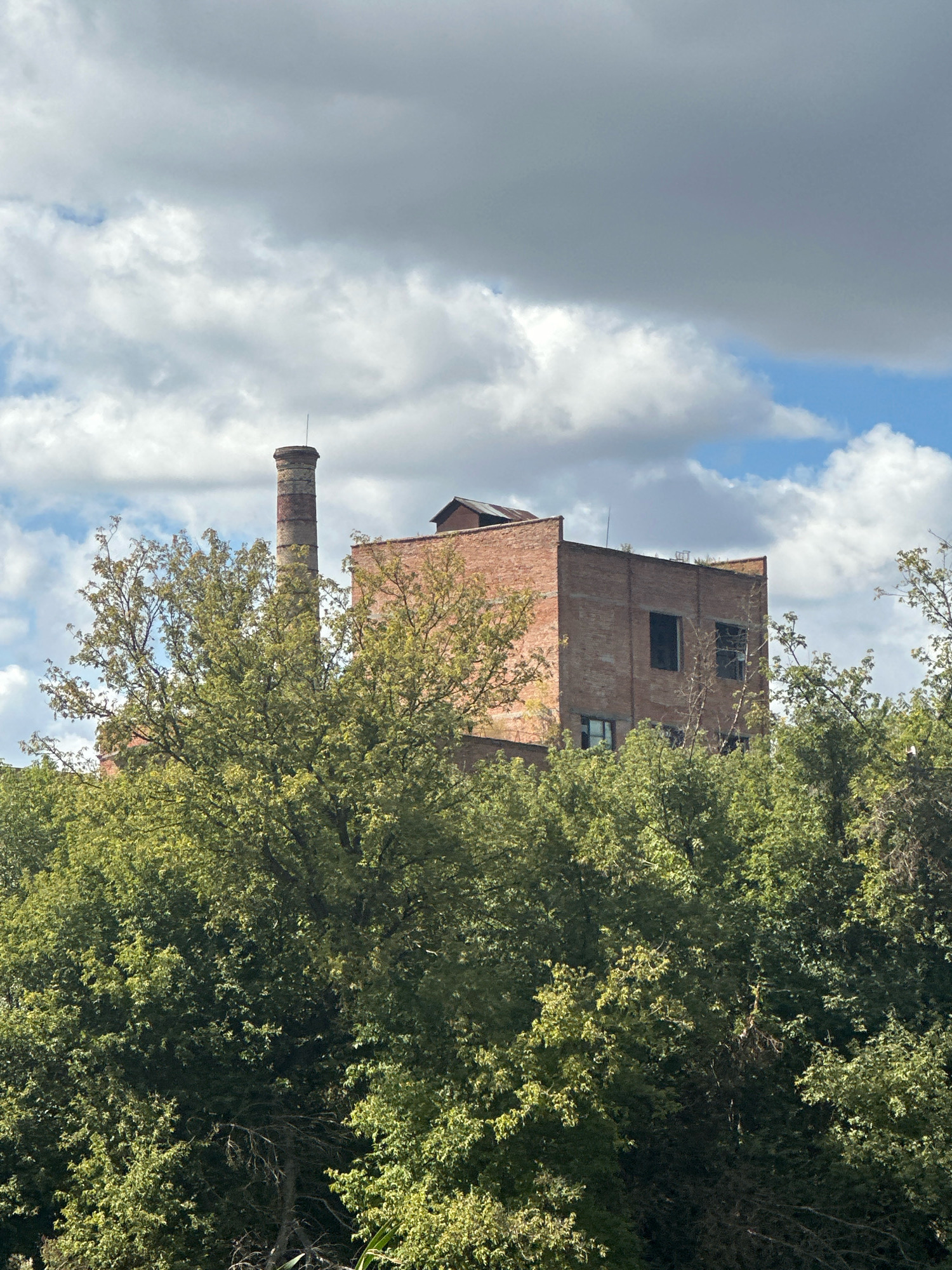 The image captures a brick building with a tall, cylindrical chimney, partially obscured by lush green foliage in the foreground. The building appears to be an old industrial structure, possibly a factory or mill, with visible windows and a weathered brick facade. The chimney is made of brick and has a rounded top. The sky above is a mix of blue and white clouds, suggesting daytime. The vegetation consists of dense trees and bushes, creating a natural barrier between the viewer and the building. The scene is set in Makiv, Ukraine, hinting at the historical or industrial landscape of the area.