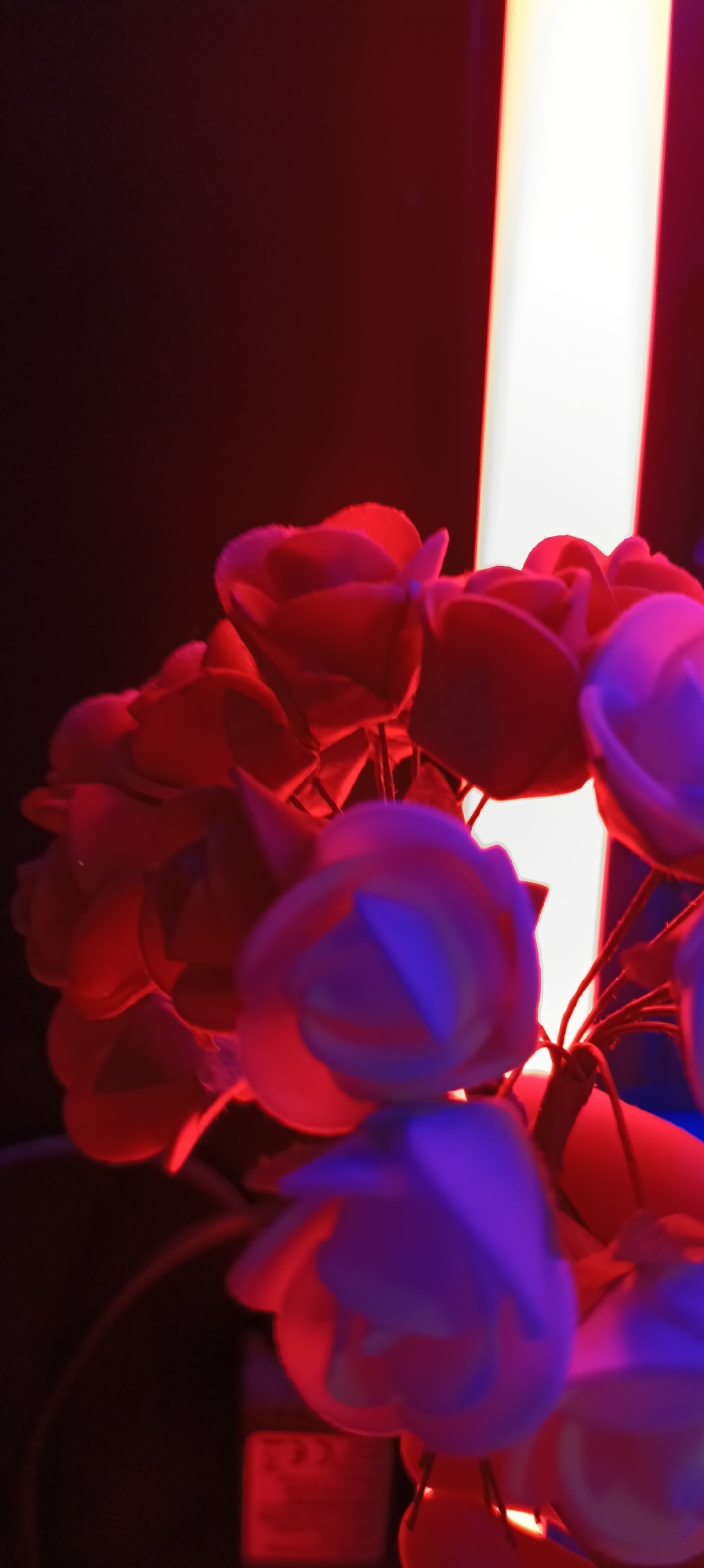 The image is a close-up shot of artificial roses, illuminated by a bright vertical light source and bathed in red and purple lighting. The background is dark. A partially visible sticker or label with the "CE" mark is present in the lower central part of the image. There are no people or animals visible. The scene appears to be indoors, possibly in a studio or a decorative setting. The specific location in Wels, Austria, is not discernible from the image itself.