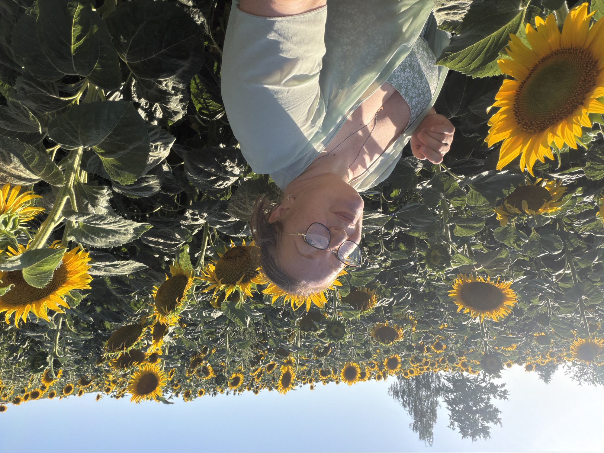A woman with blonde hair, wearing glasses and a light green dress, is taking a selfie in a field of sunflowers under a clear blue sky. She is positioned in the foreground, with the sunflowers stretching out behind her. The sun is shining brightly, casting a warm glow on the scene. In the background, trees are visible on the horizon. The image appears to have been taken in a rural area, possibly the outskirts of Ufhusen, Switzerland, given the presence of a large sunflower field.